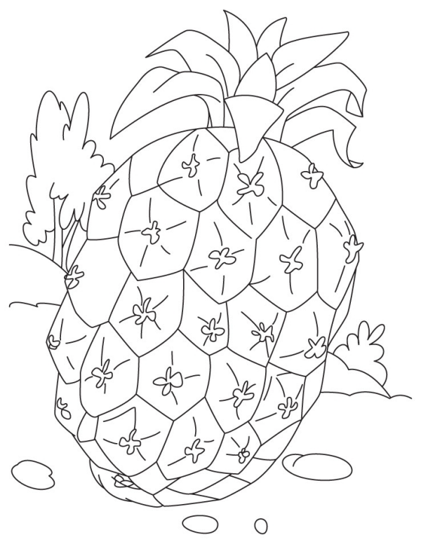 Disegno Di Ananas