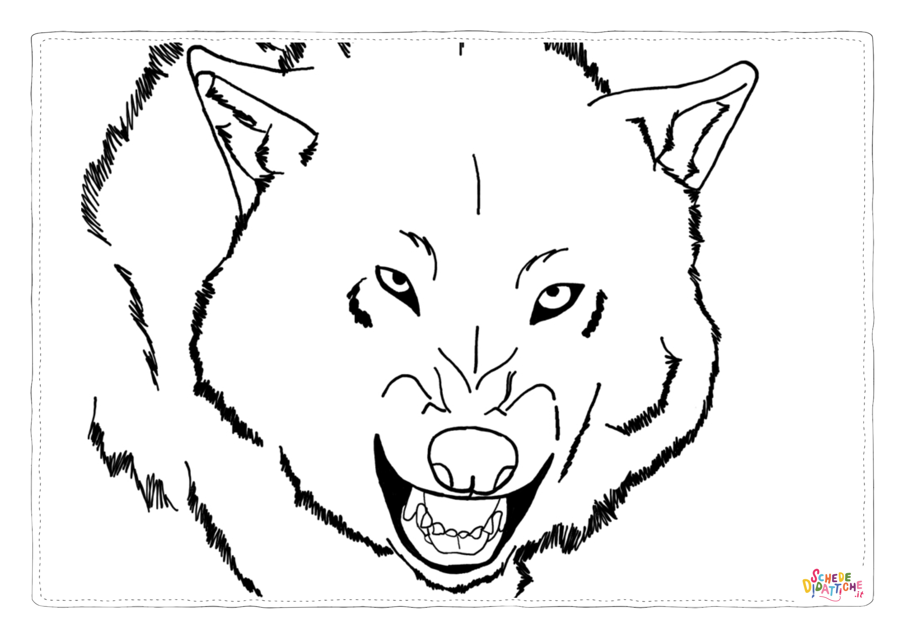 Disegno di lupo da stampare e colorare 3