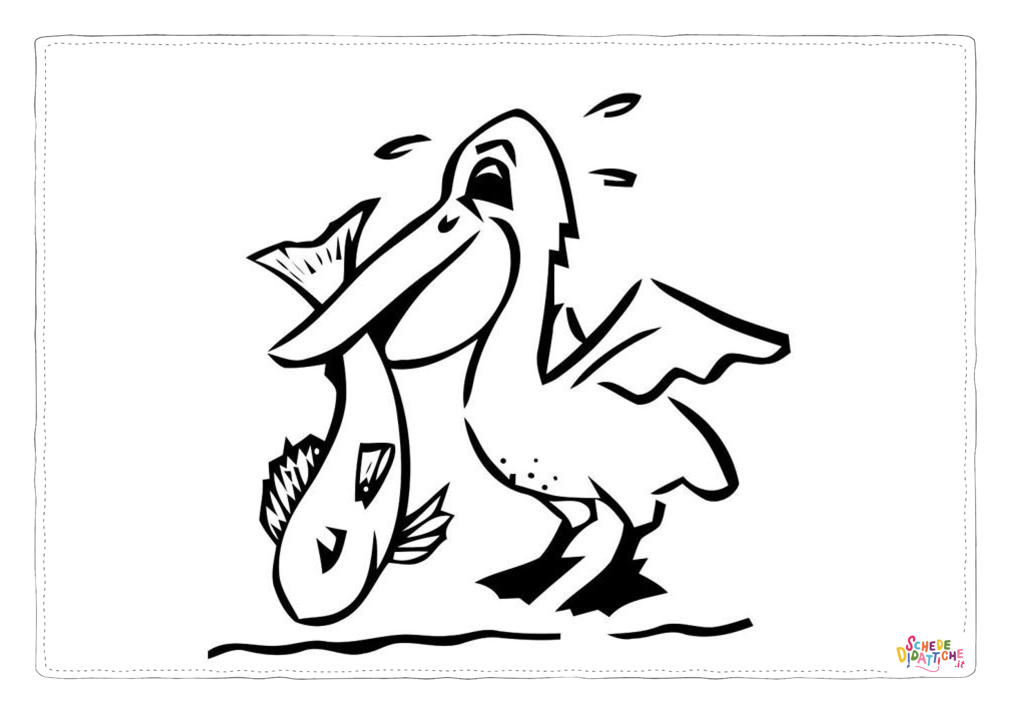 Disegno di pellicano da stampare e colorare 1