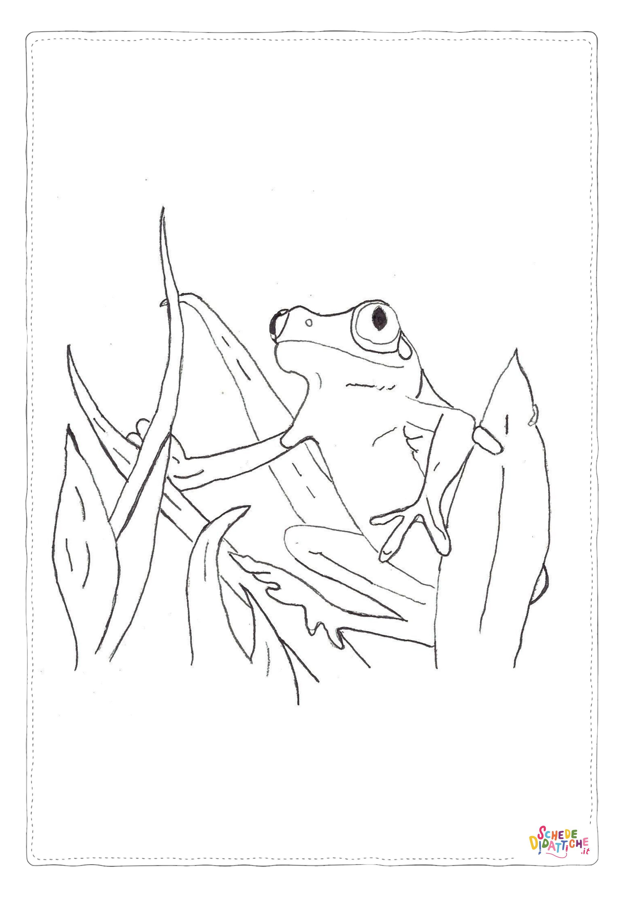 Disegno "Disegno di rana da stampare e colorare 115" Disegno di rana da stampare e colorare 115