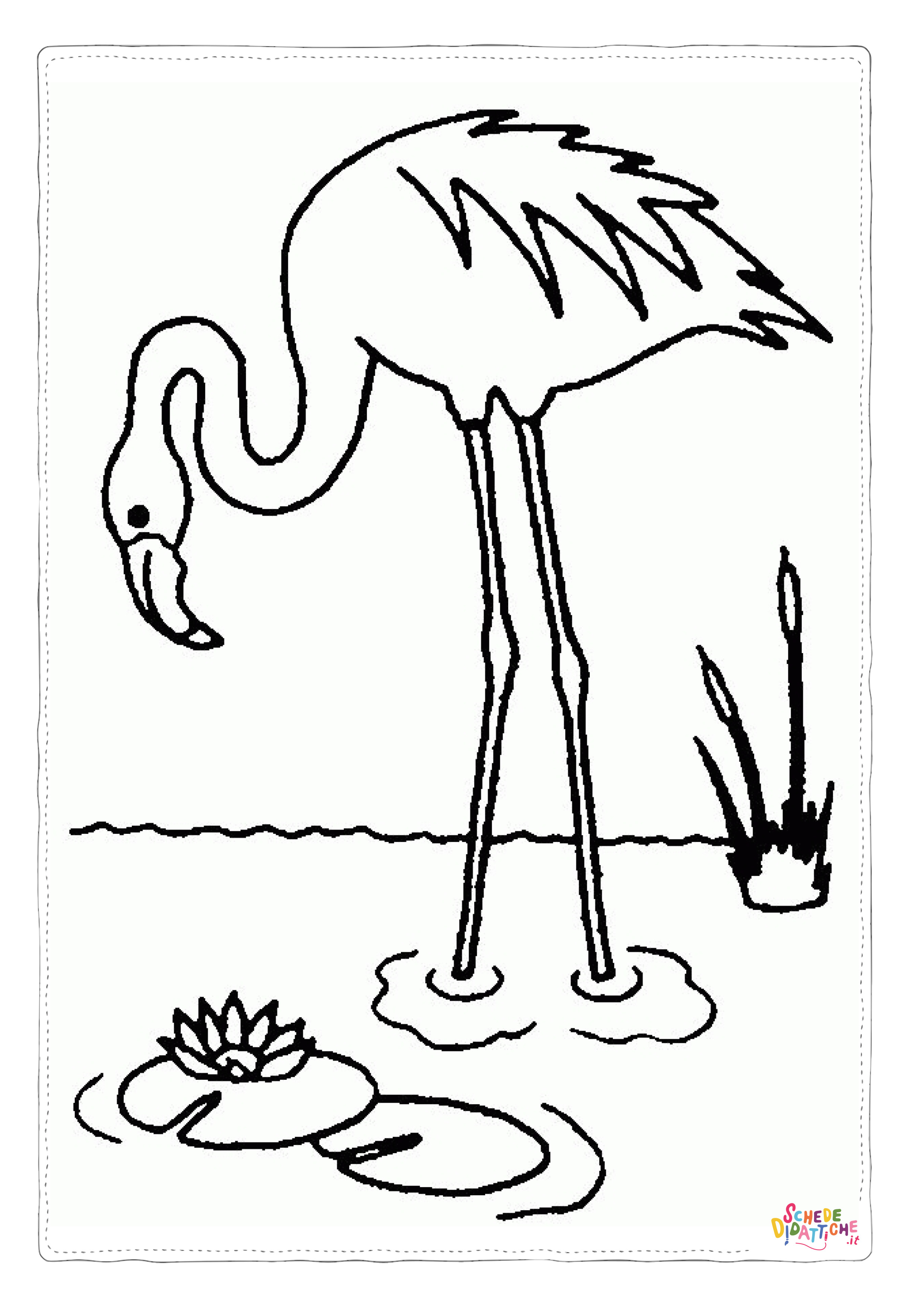 Disegno "Disegno di fenicottero da stampare e colorare 31" Disegno di fenicottero da stampare e colorare 31