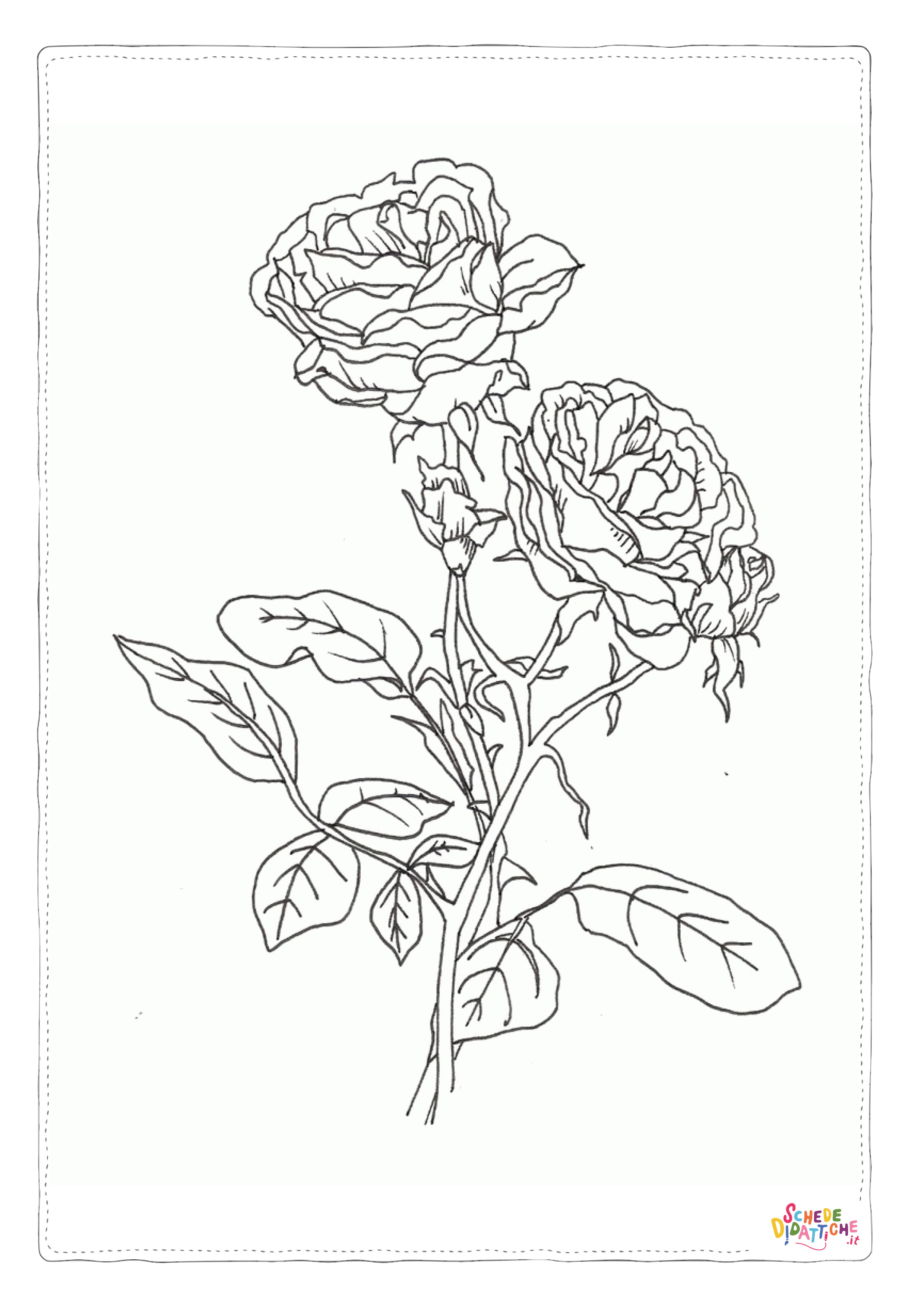 Disegno di fiore da stampare e colorare 142