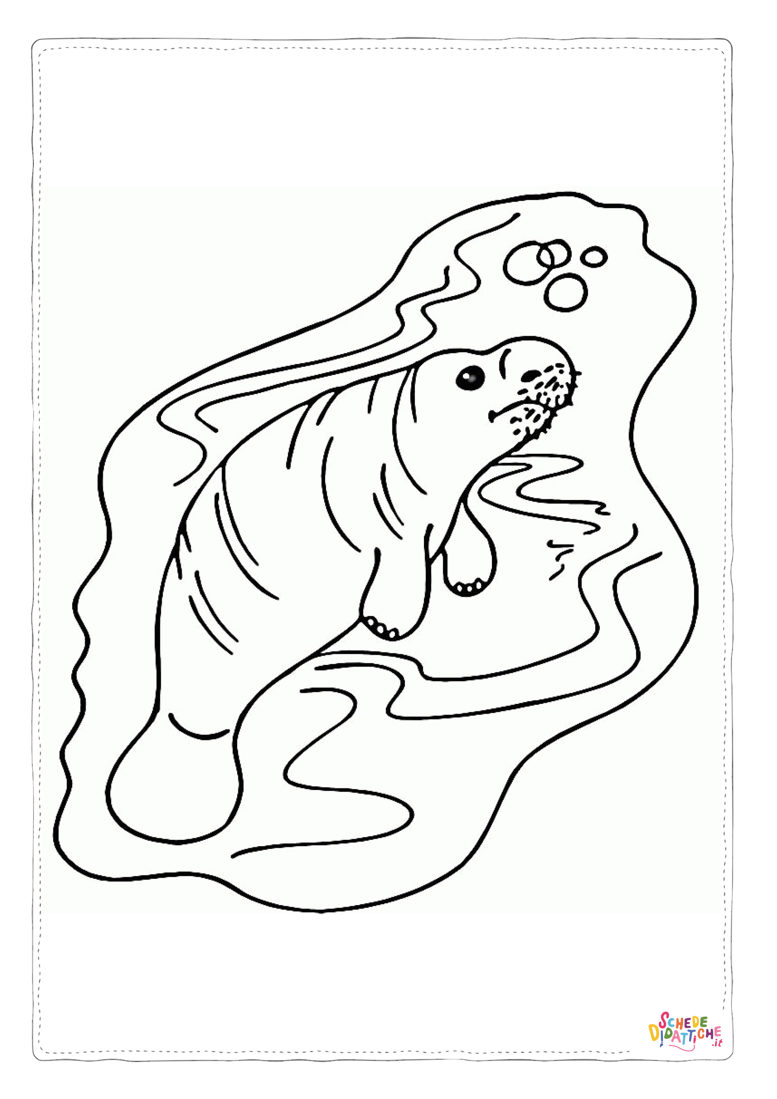 Disegno "Disegno di foca da stampare e colorare 18" Disegno di foca da stampare e colorare 18