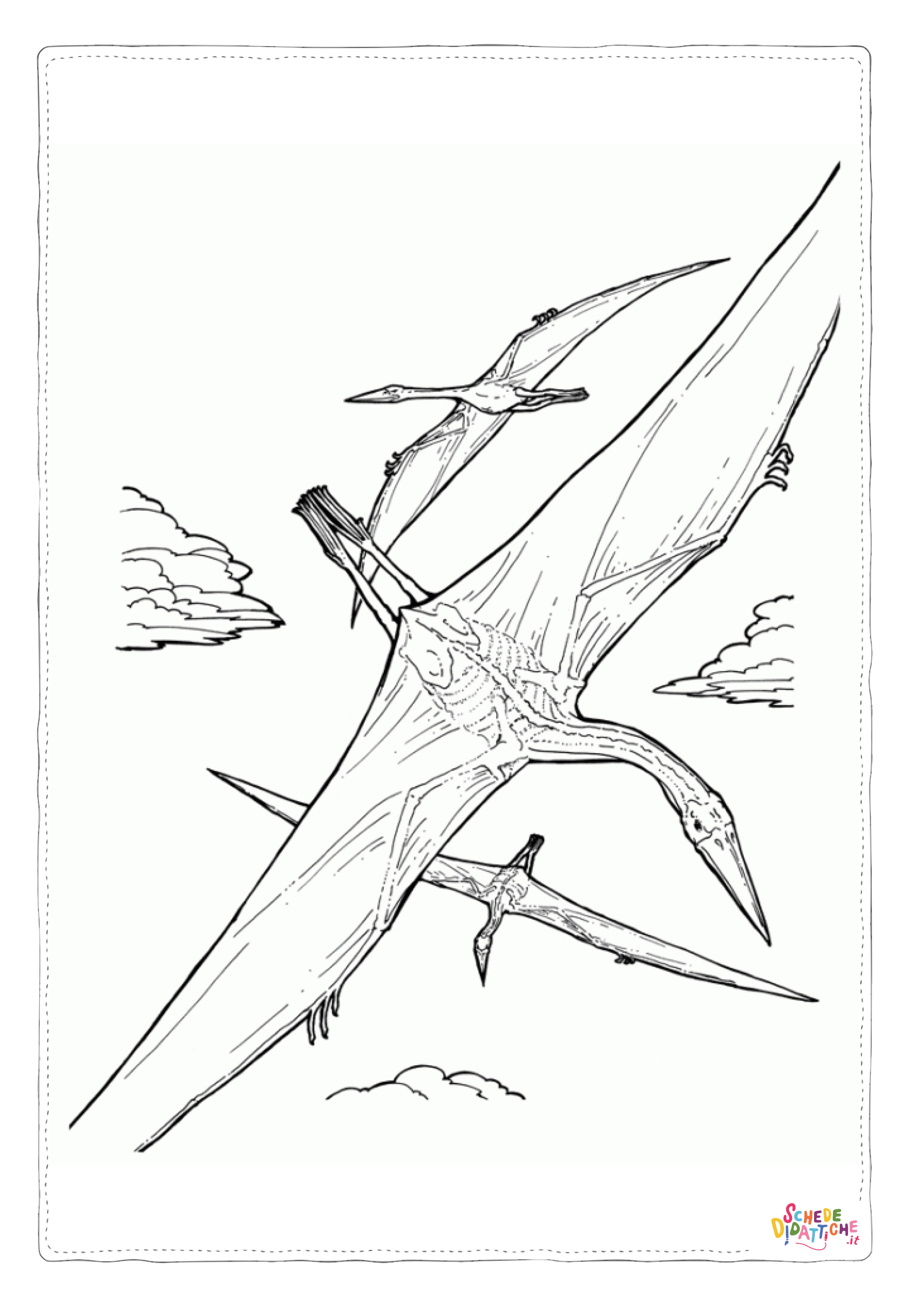 Disegno "Disegno di Pterodattilo da stampare e colorare 5" Disegno di Pterodattilo da stampare e colorare 5