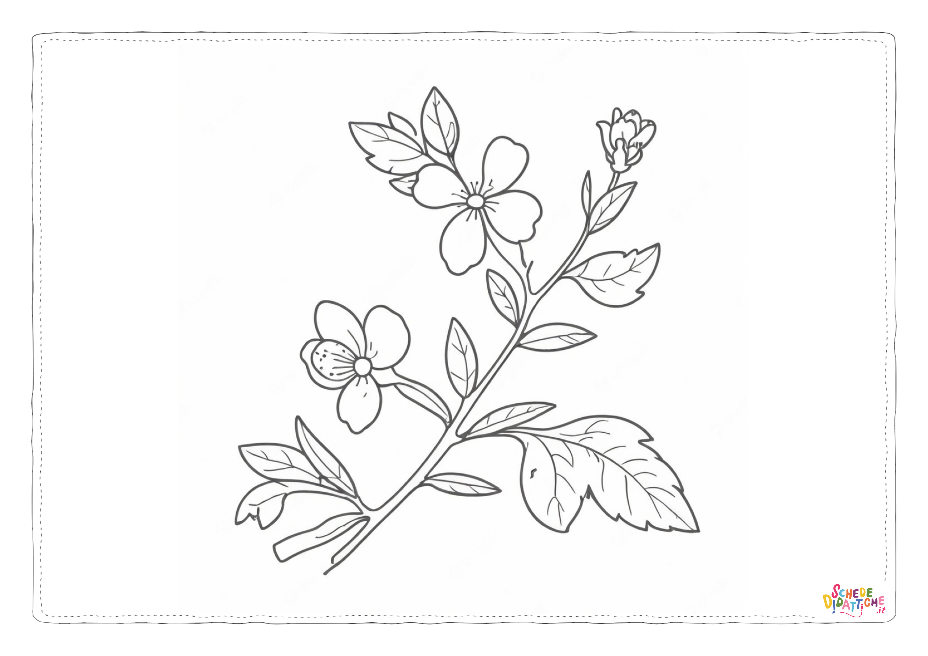 Disegno "Ramo fiorito 11" Ramo fiorito 11