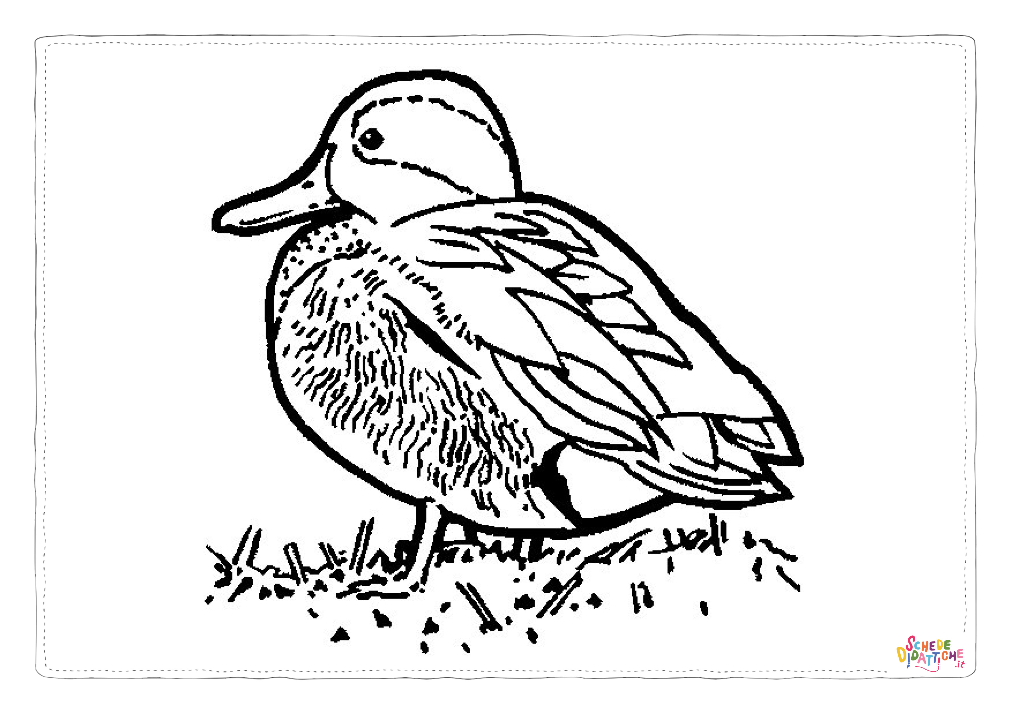 Disegno "Disegno di passero da stampare e colorare 96" Disegno di passero da stampare e colorare 96