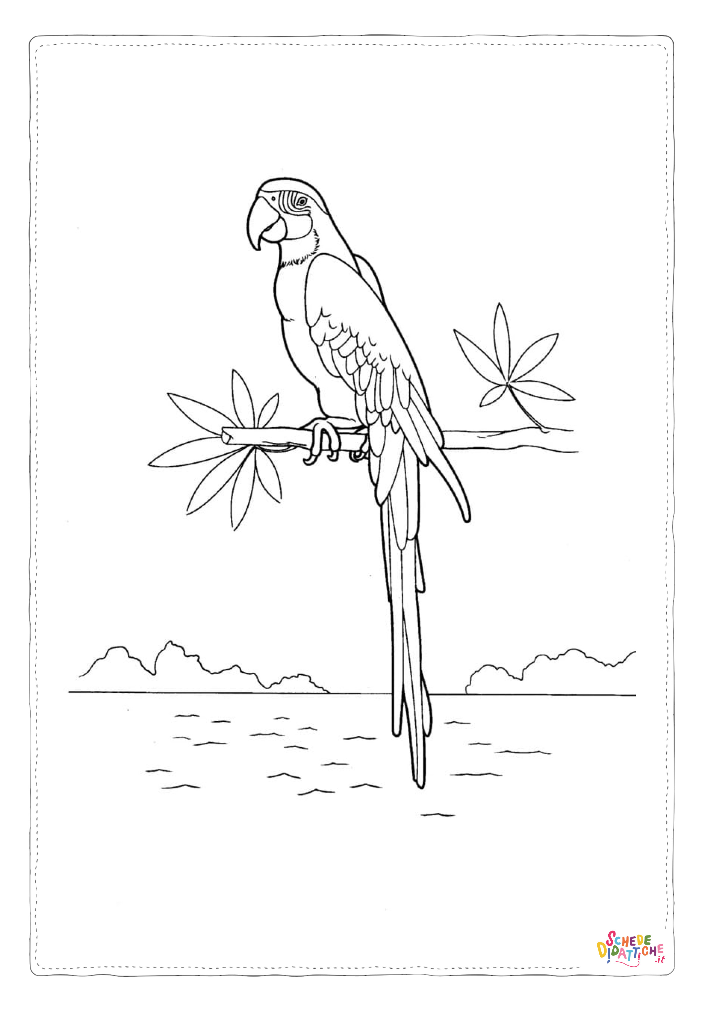 Disegno "Disegno di pappagallo da stampare e colorare 53" Disegno di pappagallo da stampare e colorare 53