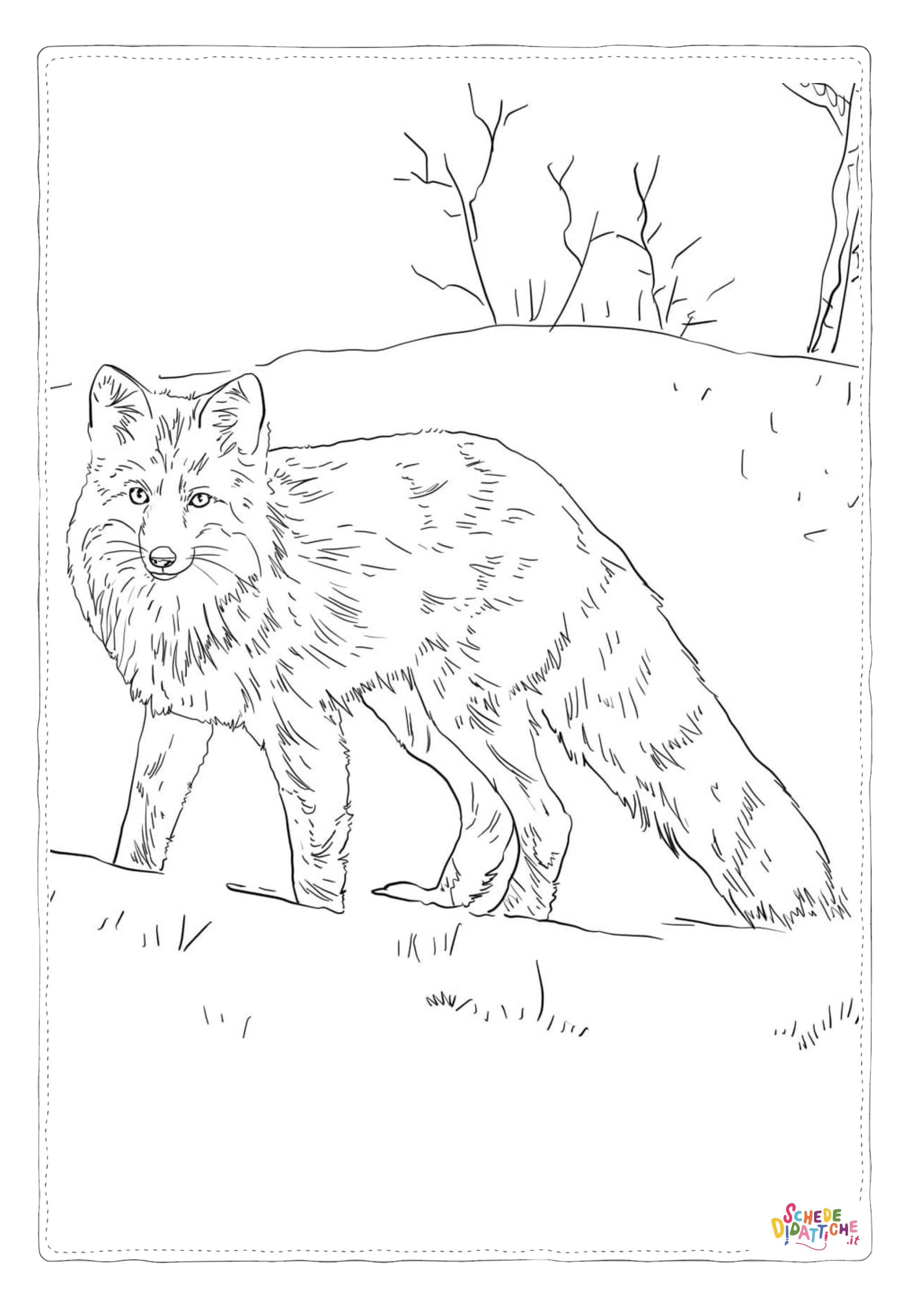 Disegno "Disegno di volpe da stampare e colorare 90" Disegno di volpe da stampare e colorare 90