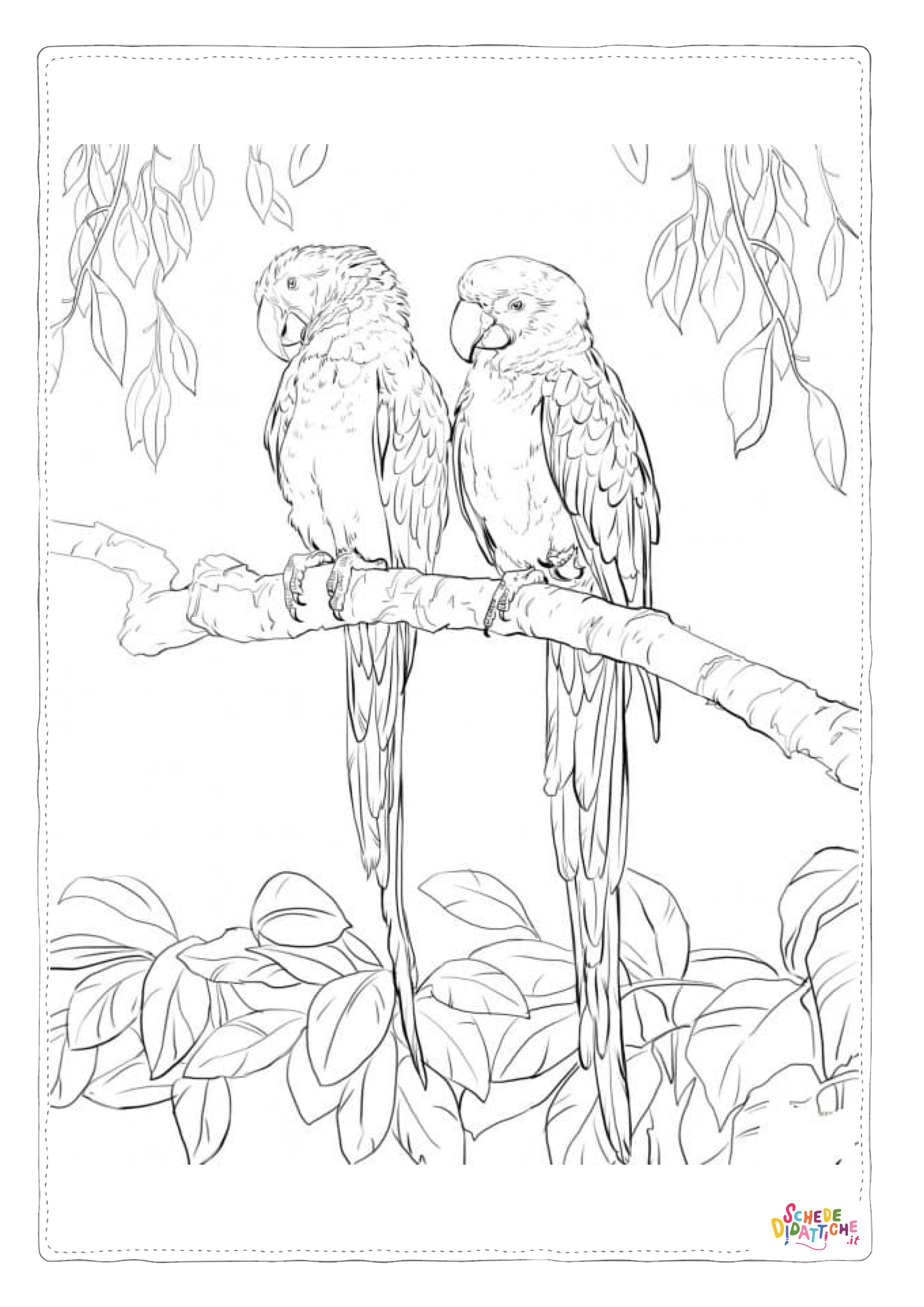 Disegno "Disegno di pappagallo da stampare e colorare 63" Disegno di pappagallo da stampare e colorare 63