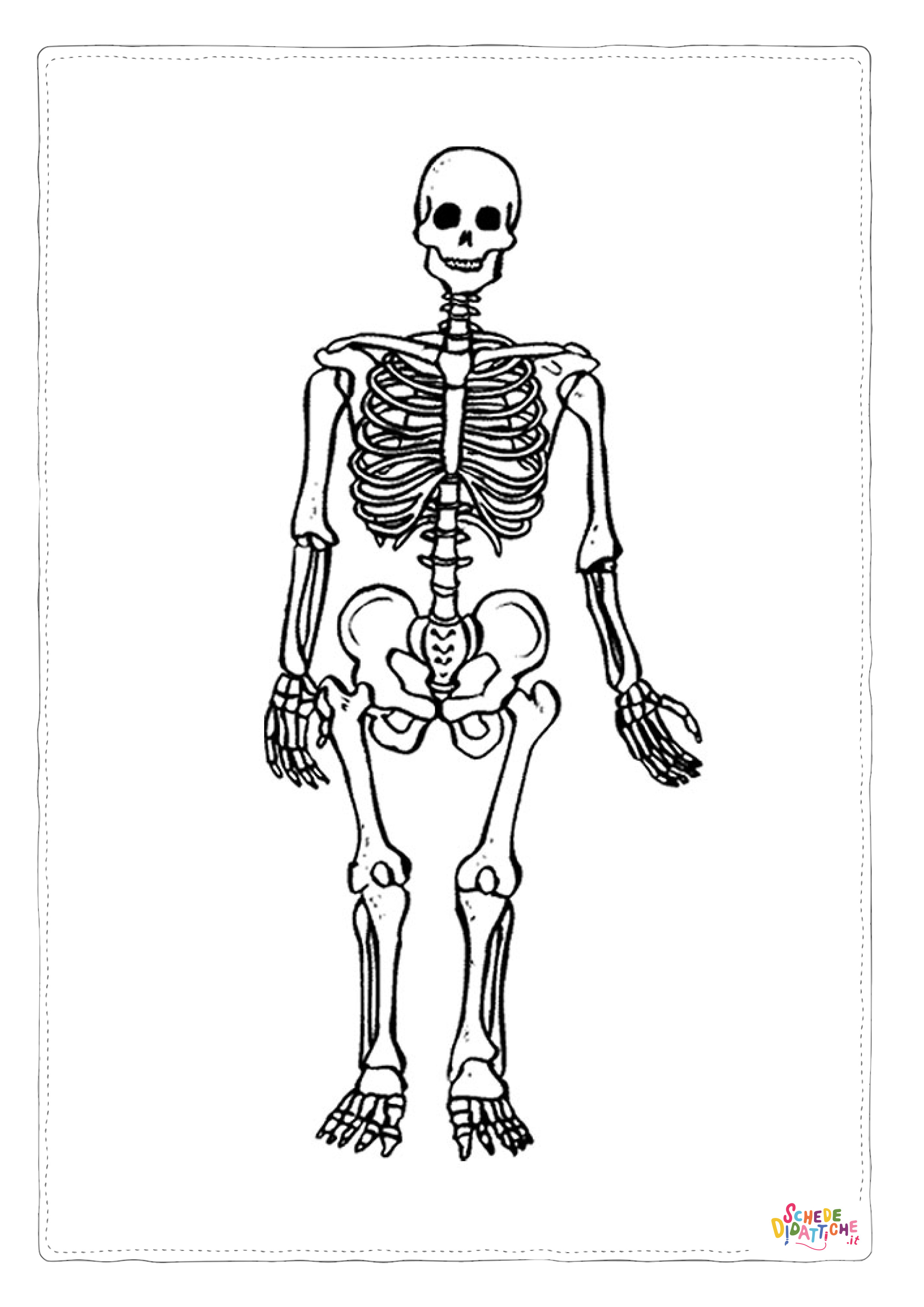 Disegno di parti del corpo da stampare e colorare 4
