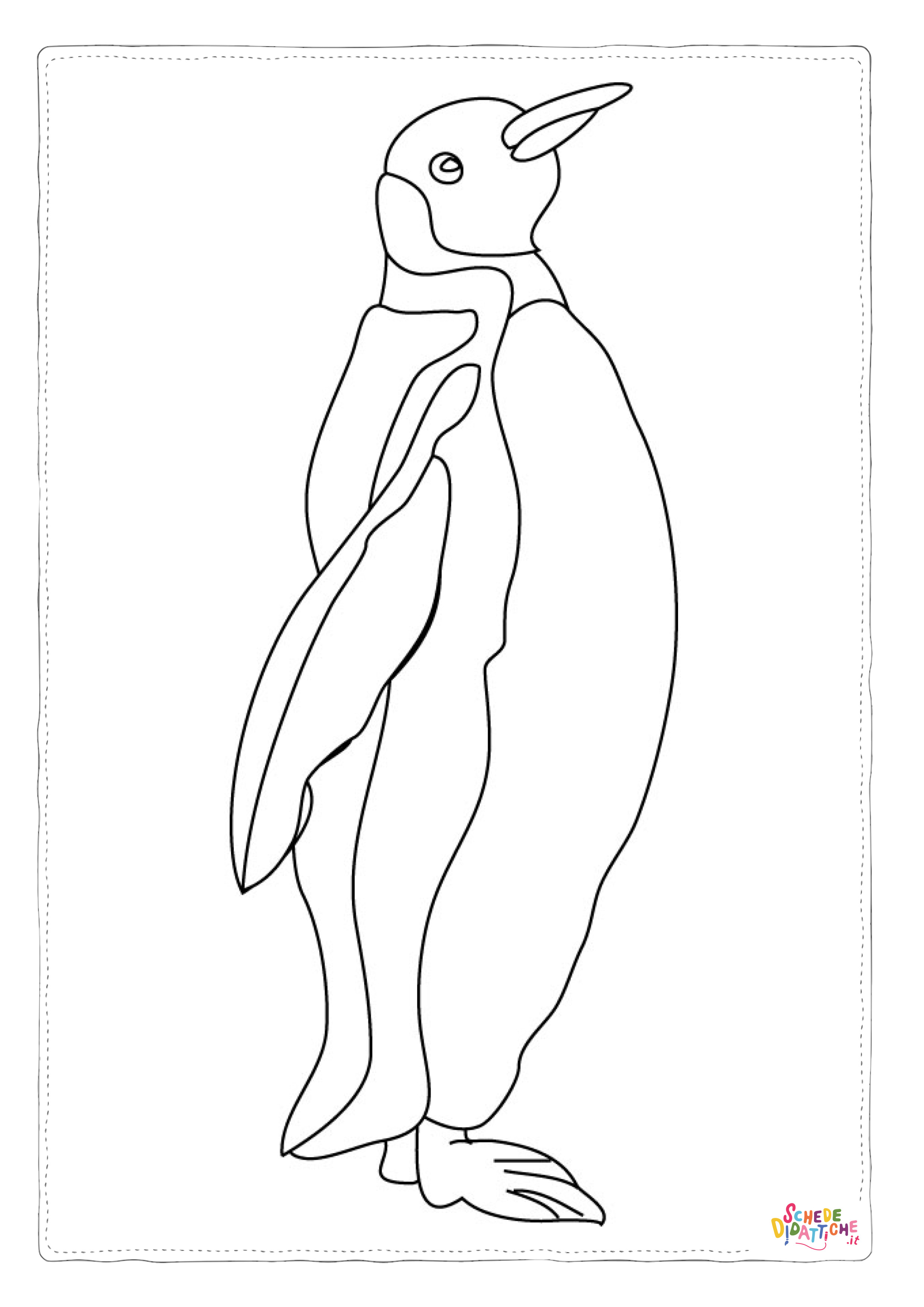 Disegno di pinguino da stampare e colorare 47