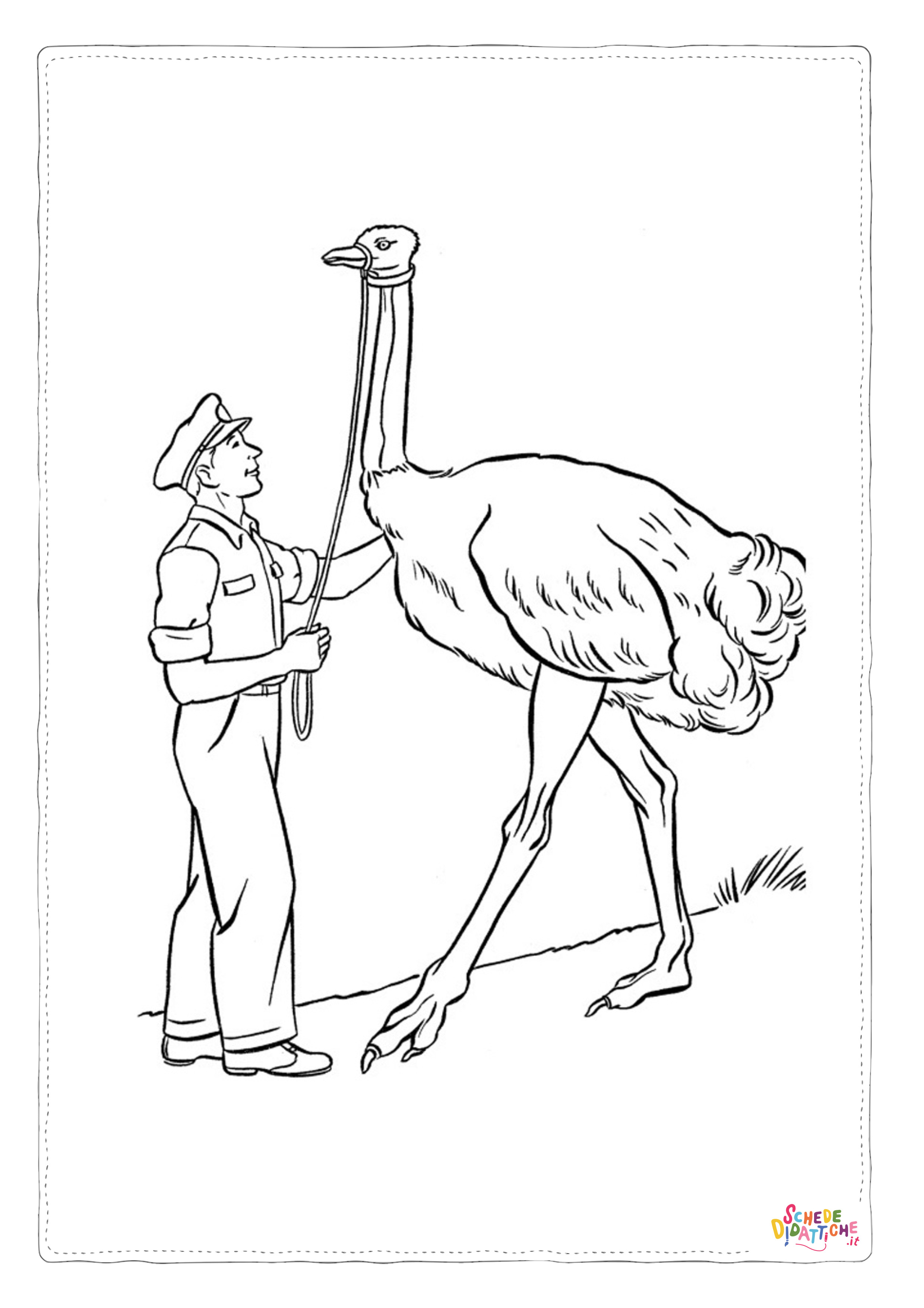 Disegno "Disegno di struzzo da stampare e colorare 11" Disegno di struzzo da stampare e colorare 11