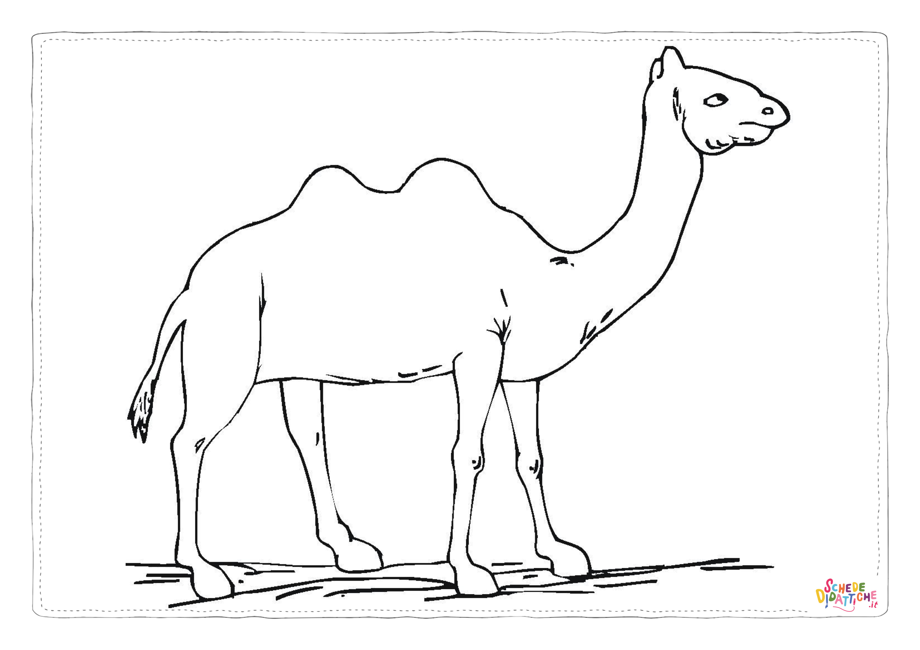 Disegno "Disegno di cammello da stampare e colorare 18" Disegno di cammello da stampare e colorare 18