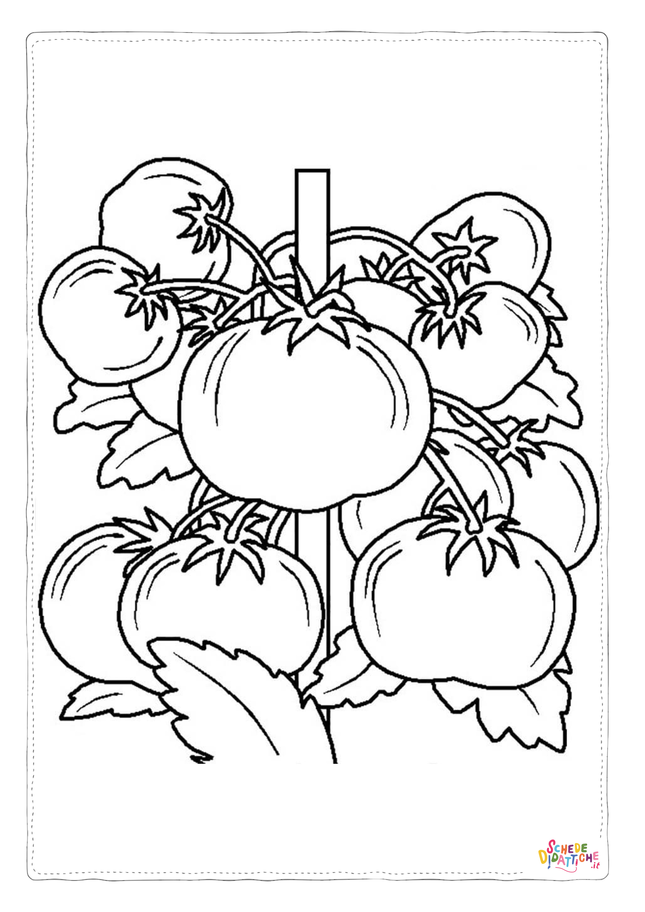 Disegno di pomodoro da stampare e colorare 5