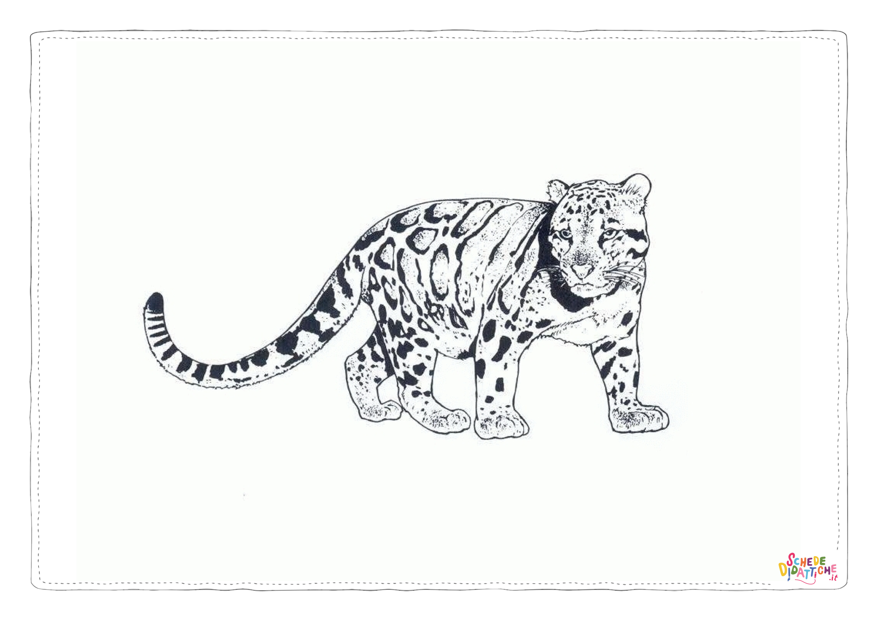 Disegno "Disegno di leopardo da stampare e colorare 7" Disegno di leopardo da stampare e colorare 7