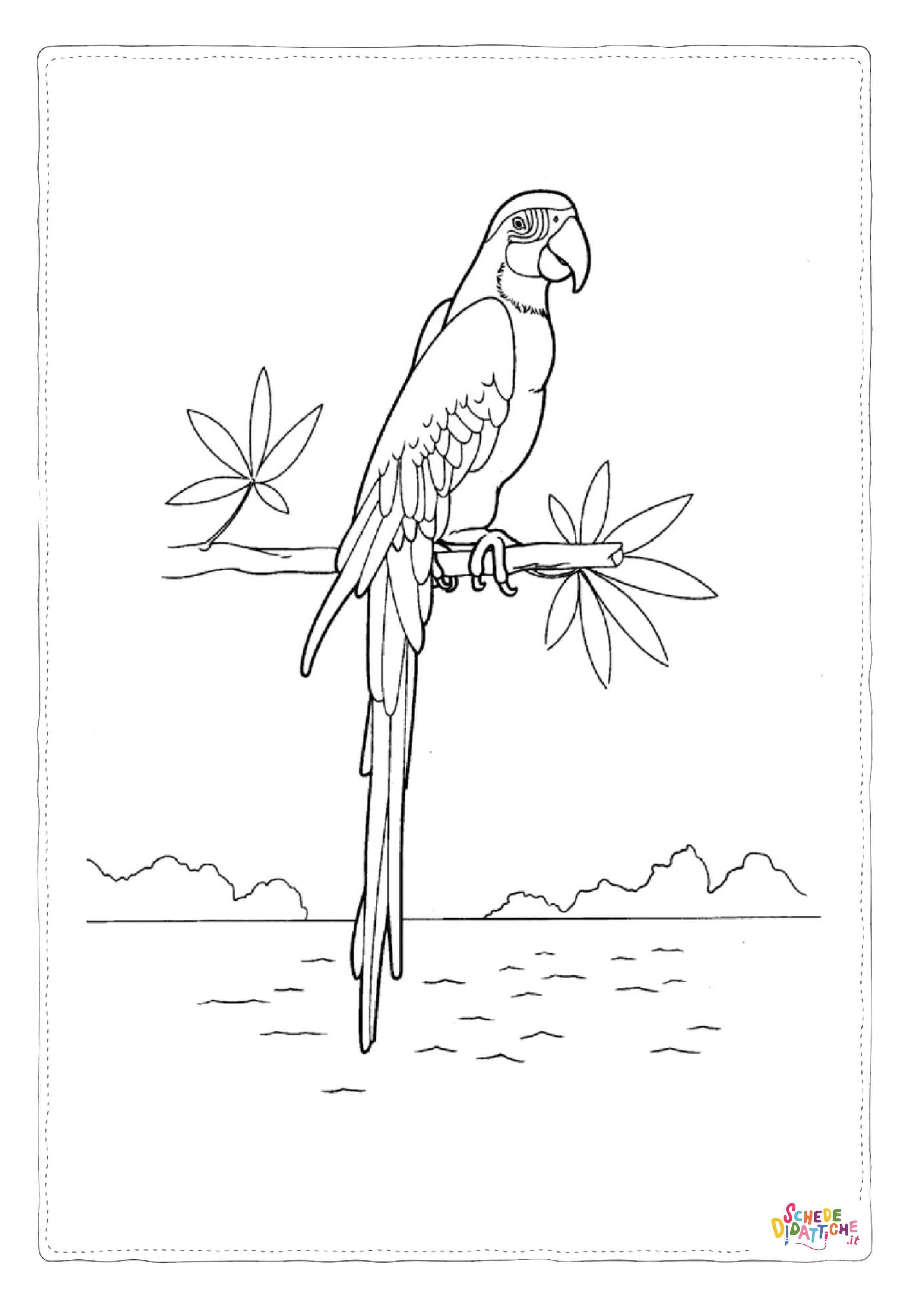 Disegno di pappagallo da stampare e colorare 115