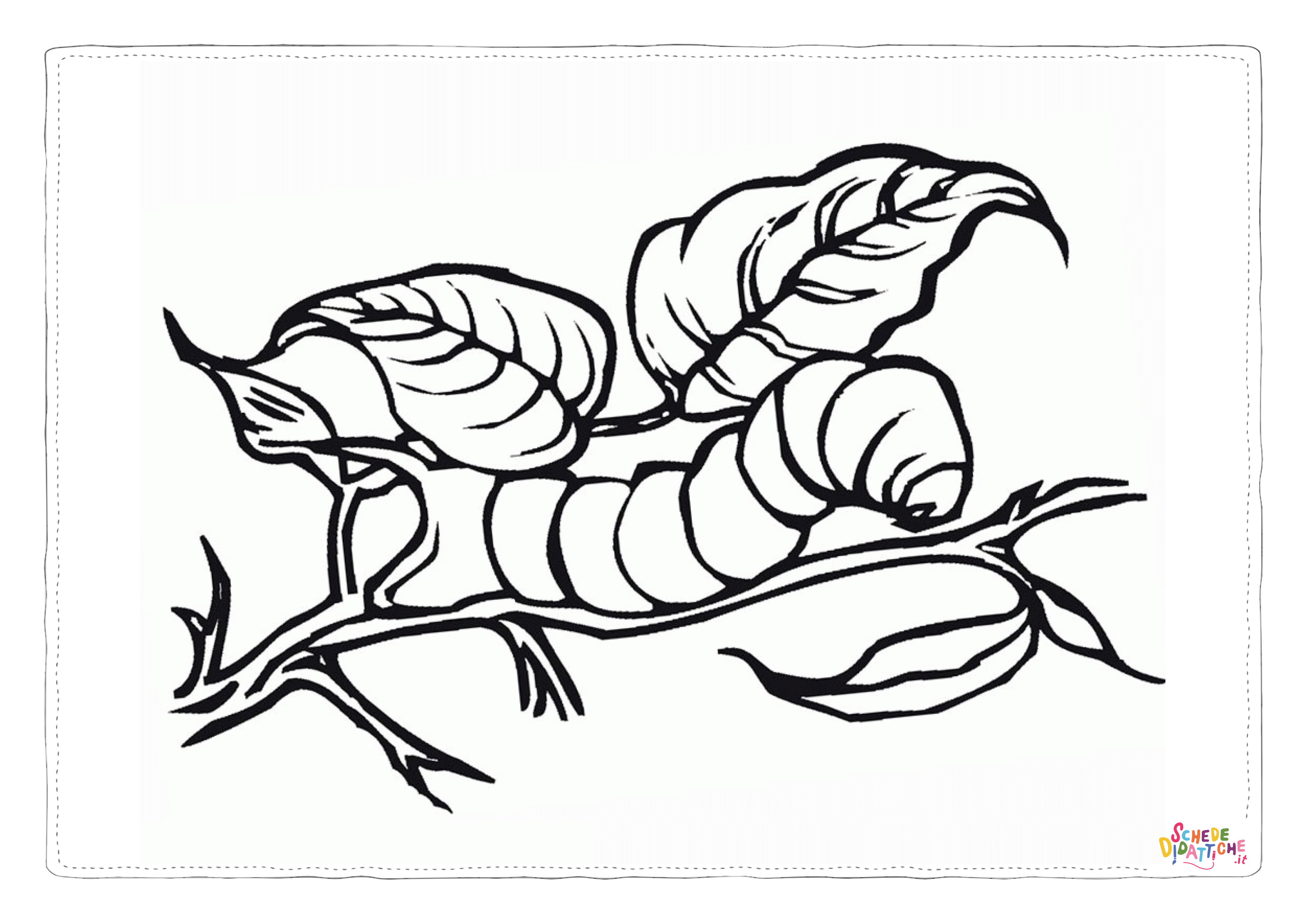 Disegno "Disegno di verme da stampare e colorare 5" Disegno di verme da stampare e colorare 5