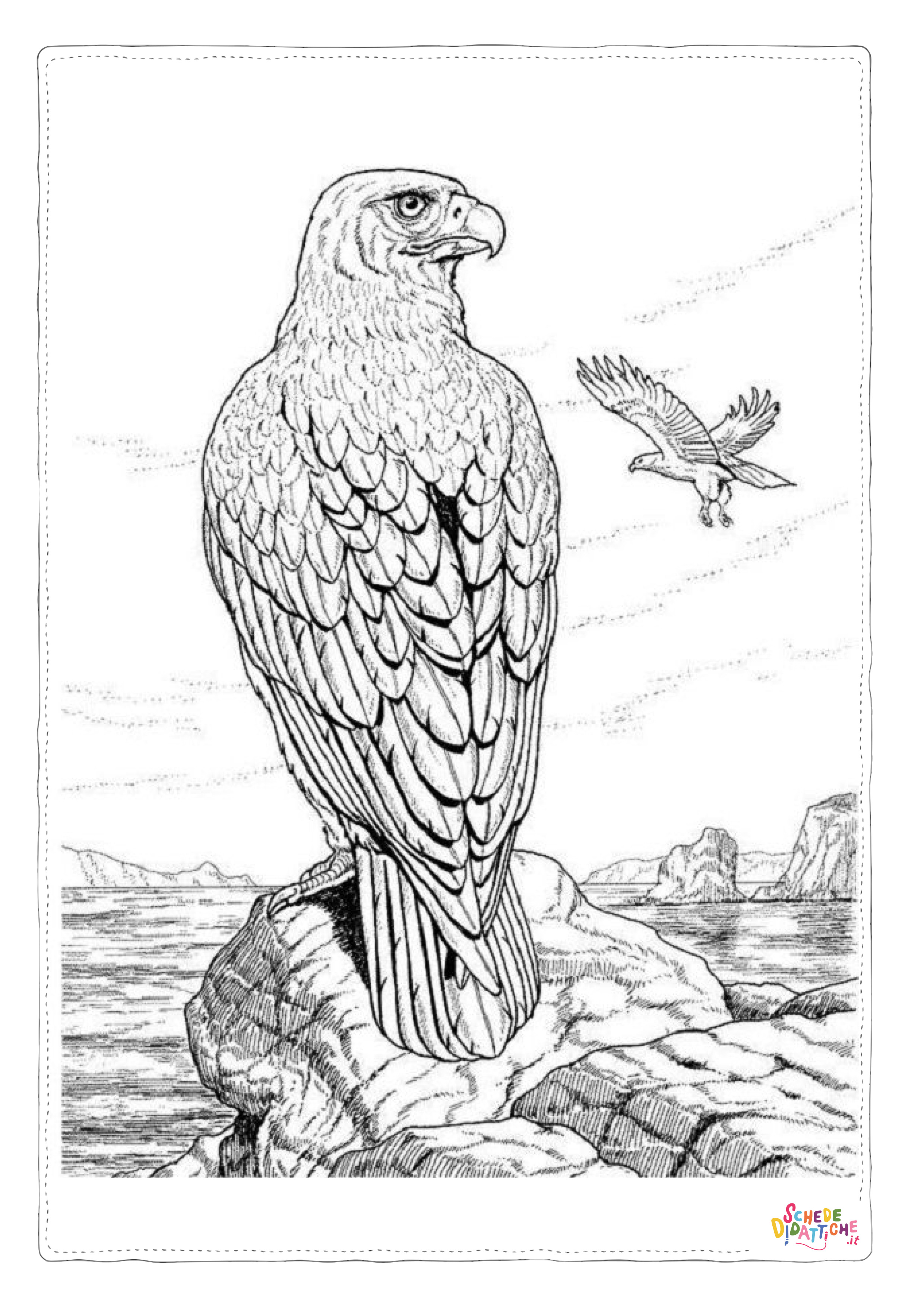 Disegno di falco da stampare e colorare 1