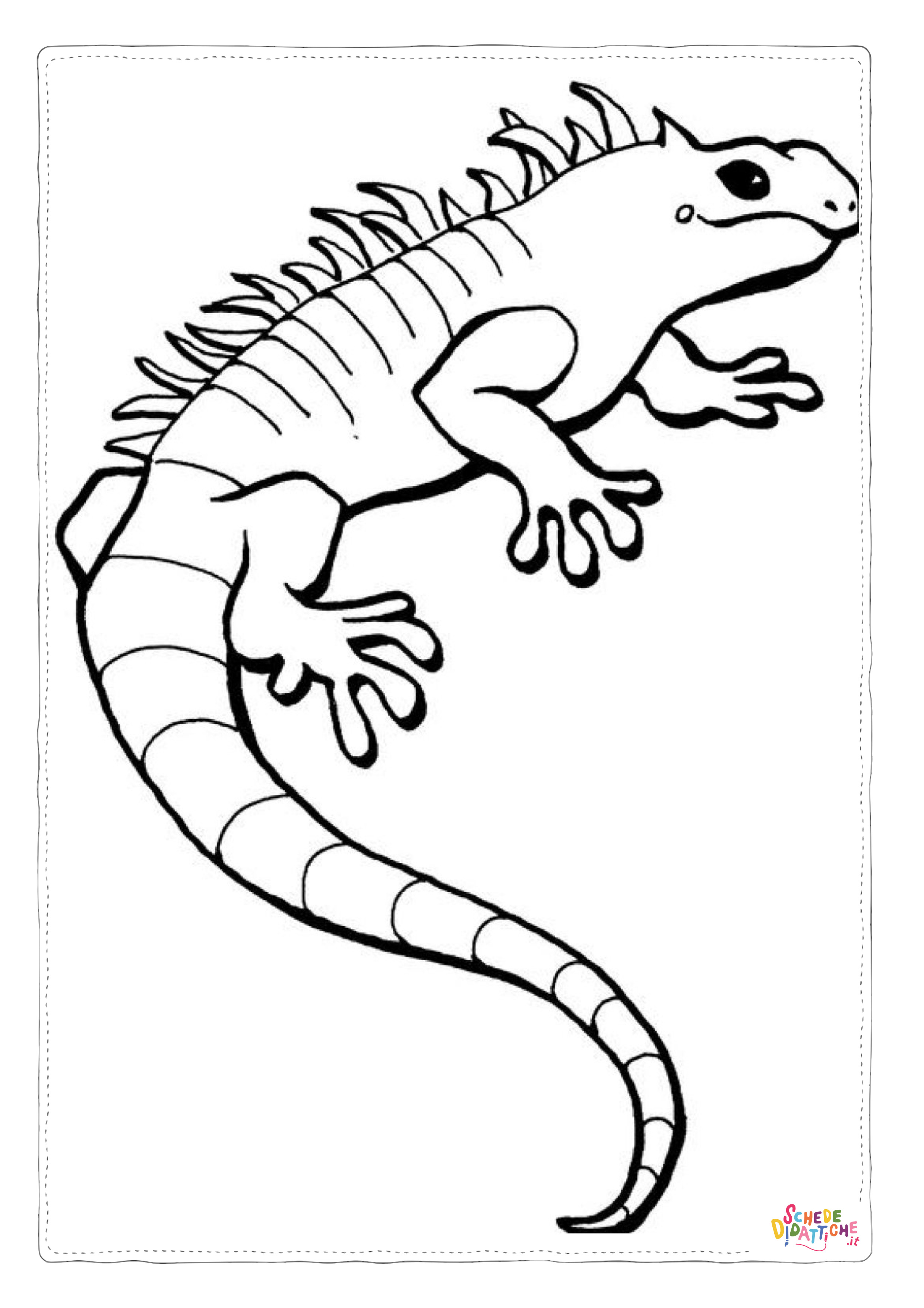 Disegno di iguana da stampare e colorare 1