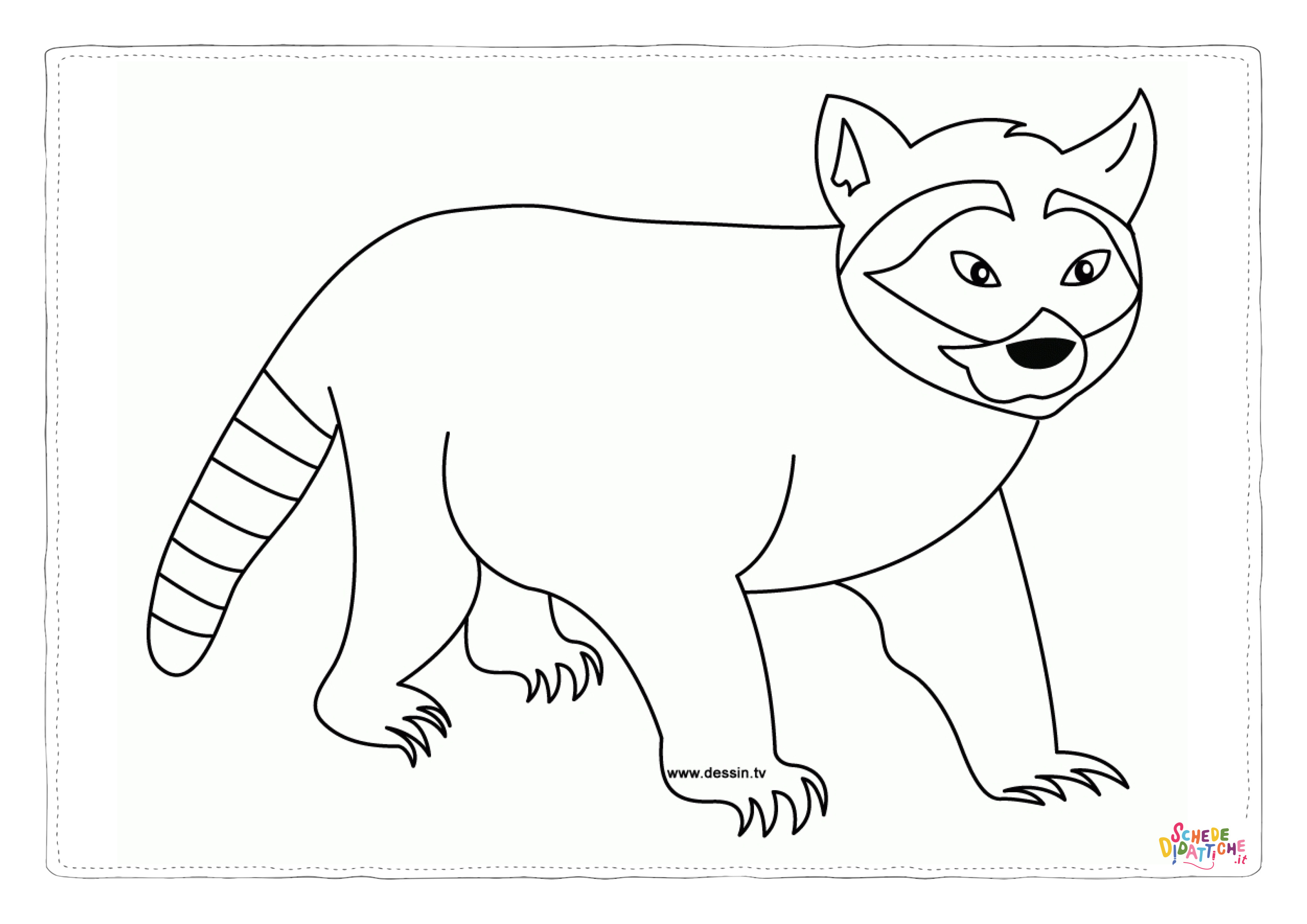Disegno di procione da stampare e colorare 16