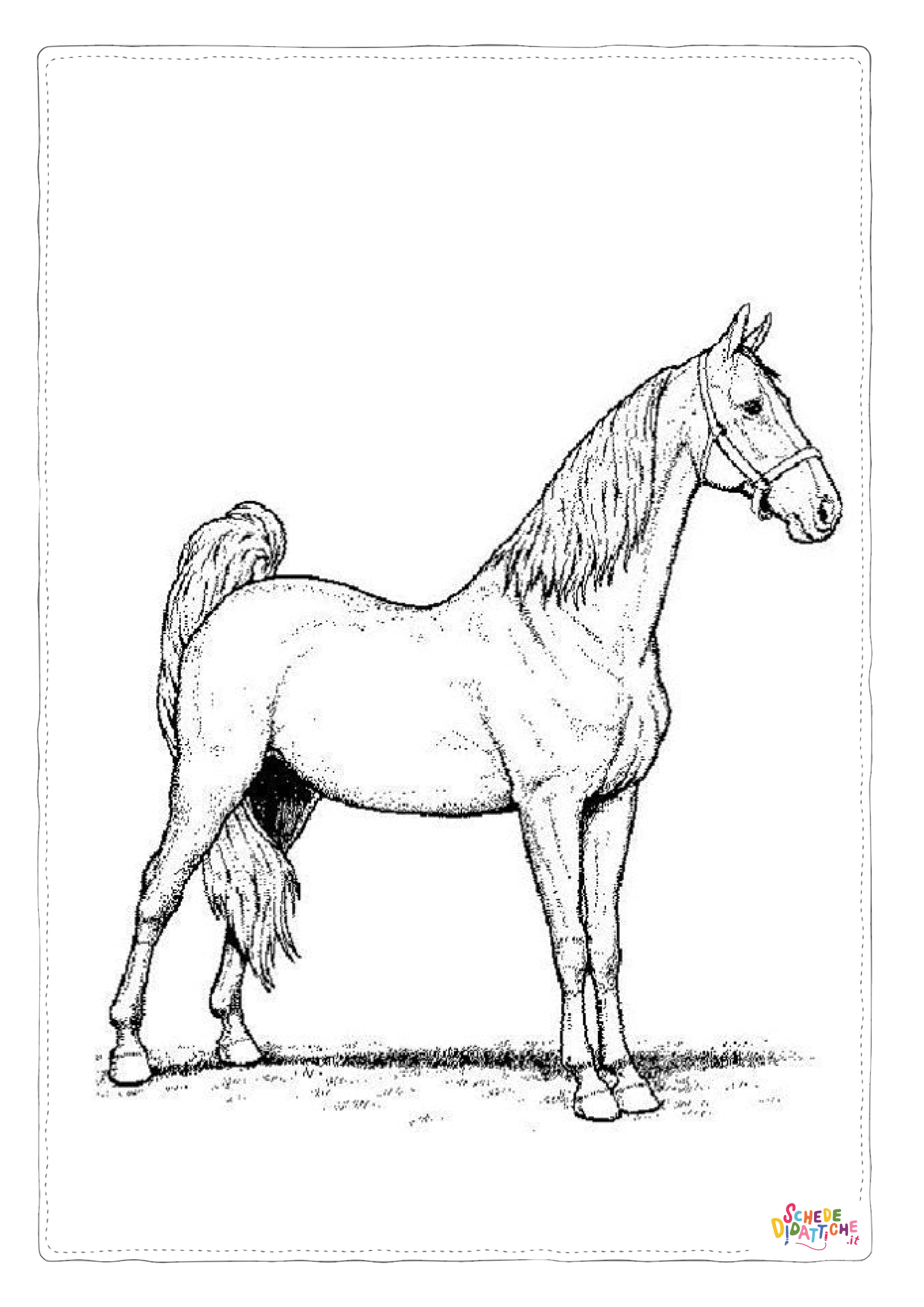 Disegno "Disegno di cavallo da stampare e colorare 225" Disegno di cavallo da stampare e colorare 225