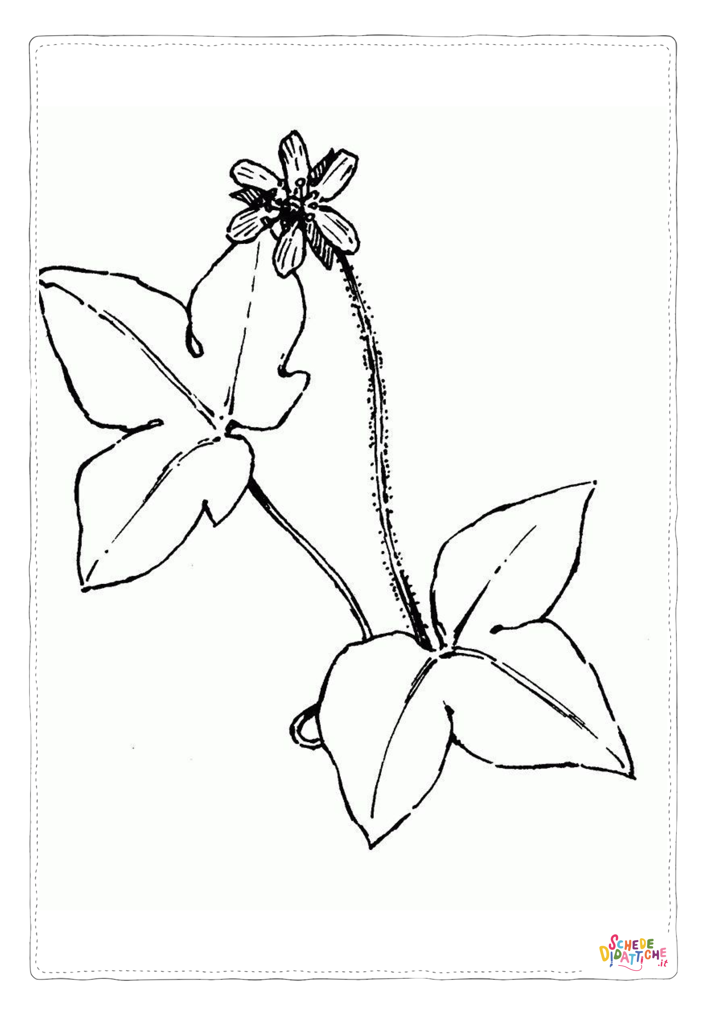 Disegno "Disegno di foglia da stampare e colorare 49" Disegno di foglia da stampare e colorare 49