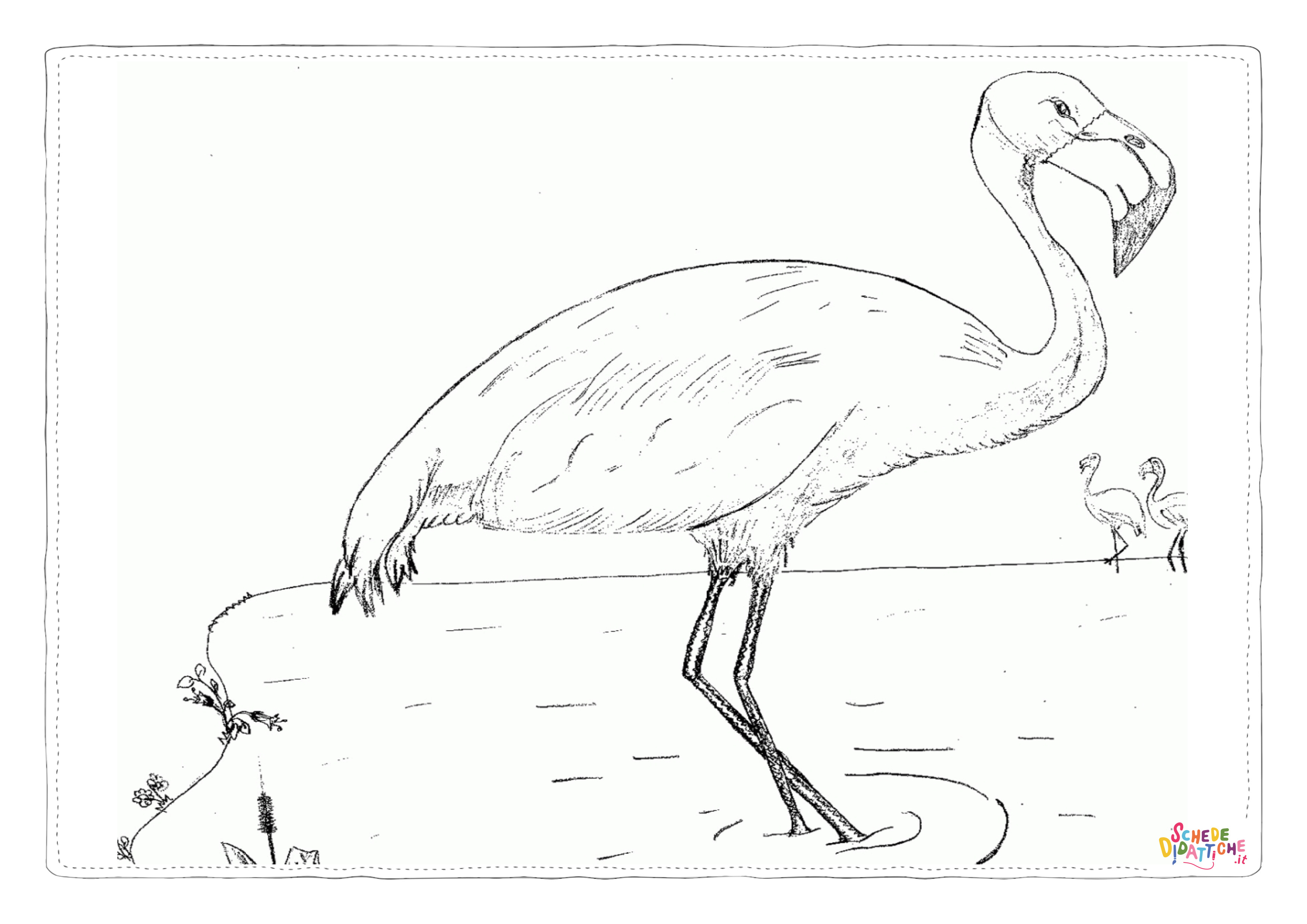 Disegno "Disegno di fenicottero da stampare e colorare 36" Disegno di fenicottero da stampare e colorare 36