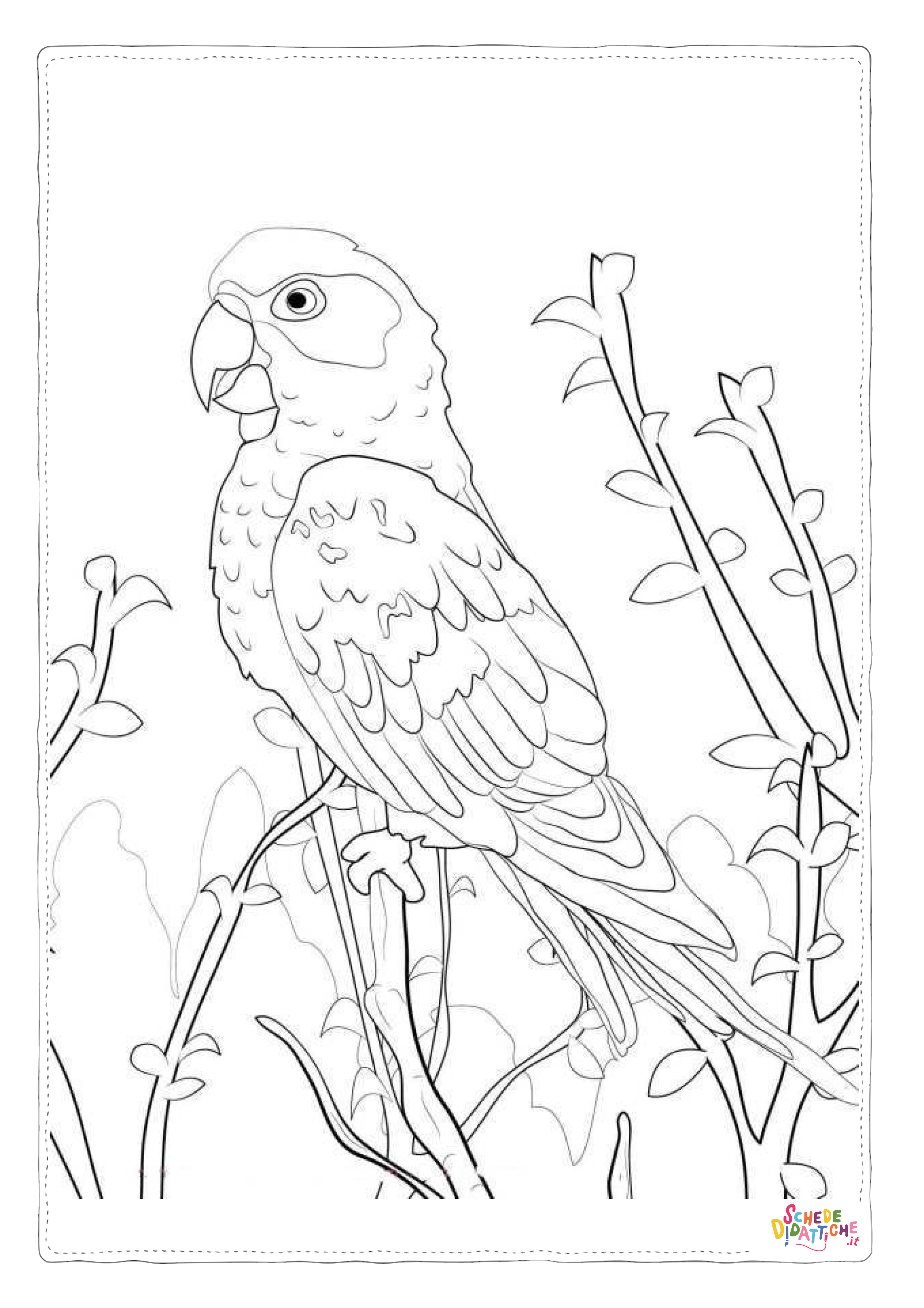 Disegno "Disegno di pappagallo da stampare e colorare 149" Disegno di pappagallo da stampare e colorare 149