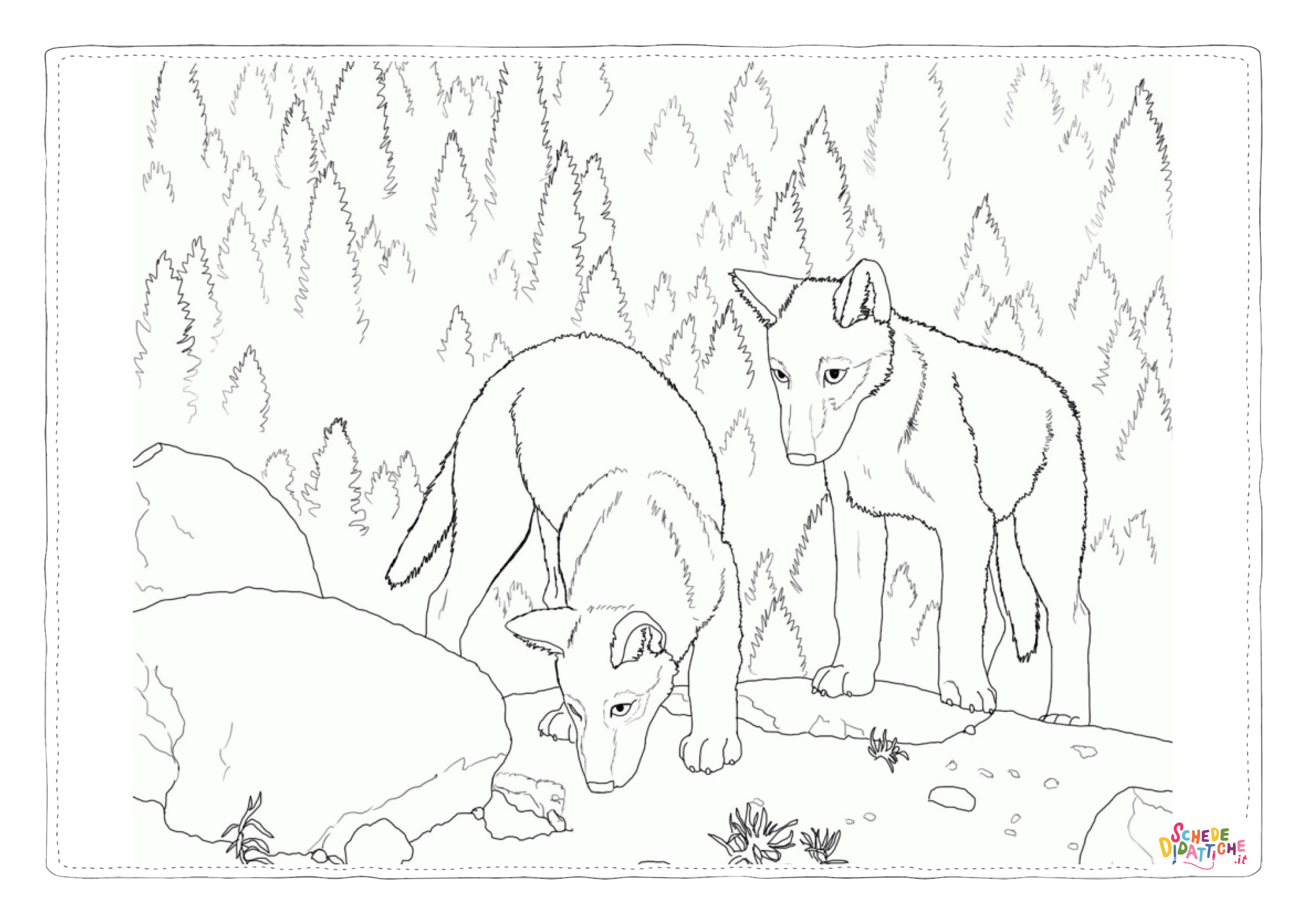 Disegno di lupo da stampare e colorare 4