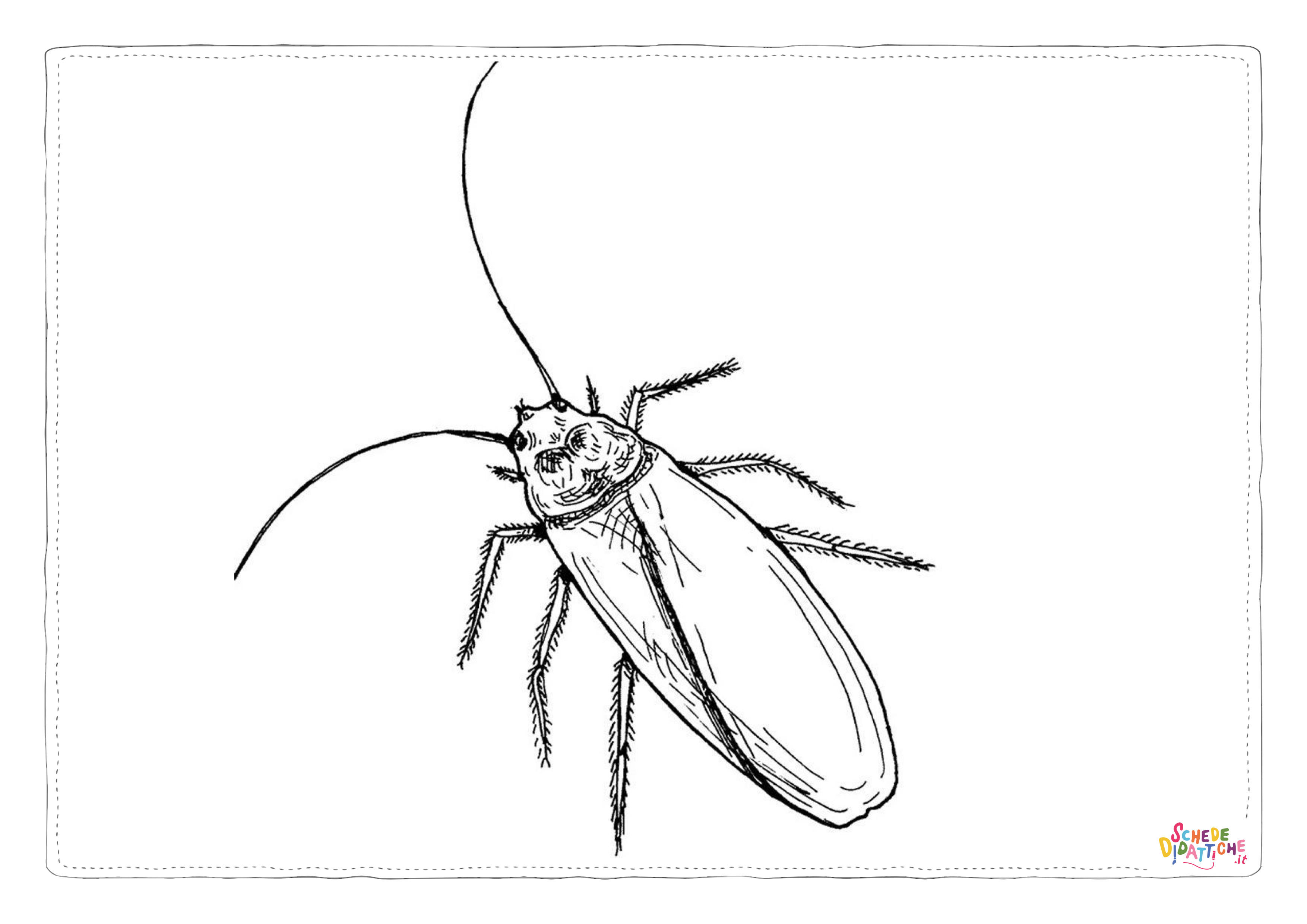 Disegno "Disegno di scarafaggio da stampare e colorare 3" Disegno di scarafaggio da stampare e colorare 3