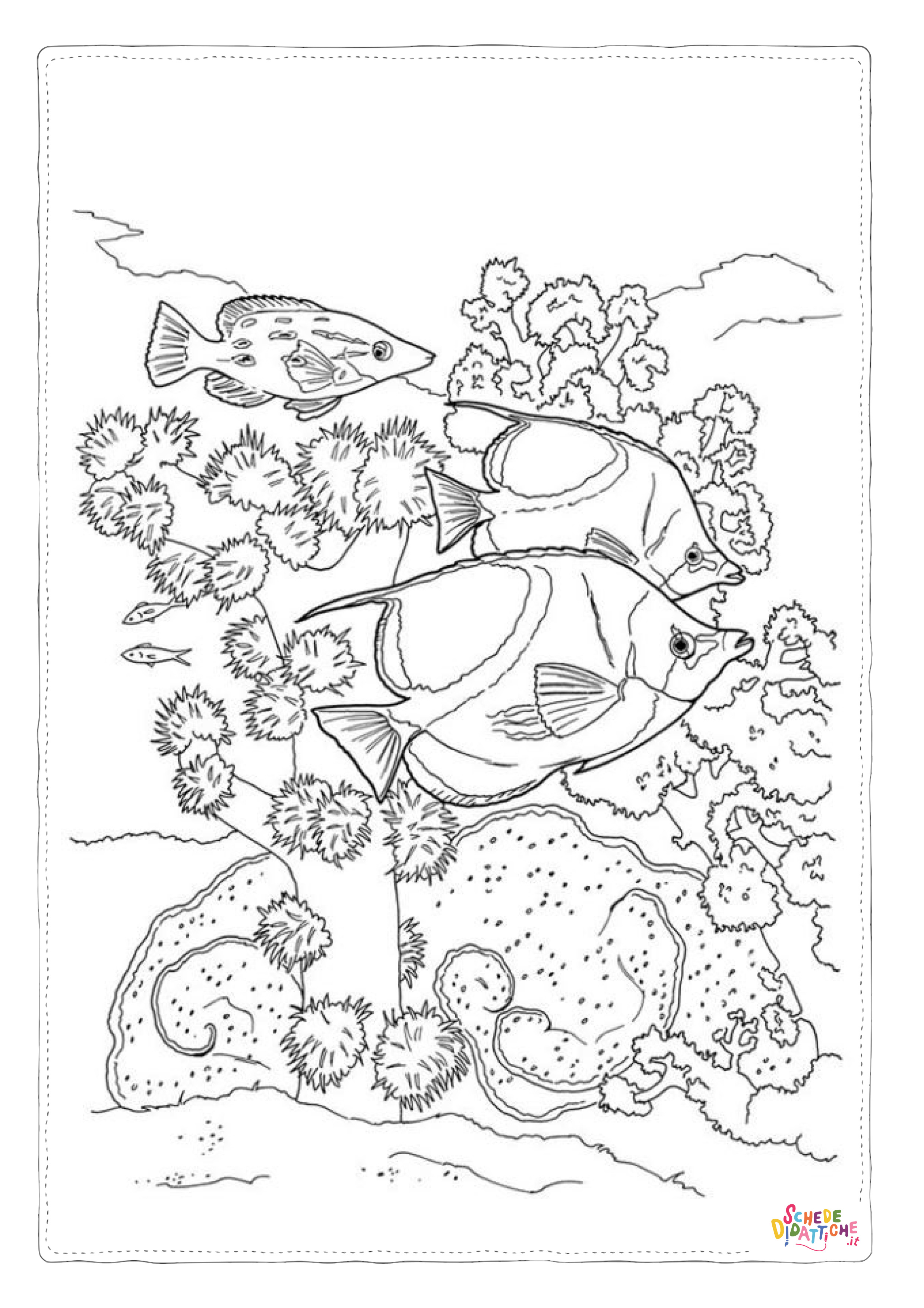 Disegno di pesce da stampare e colorare 114