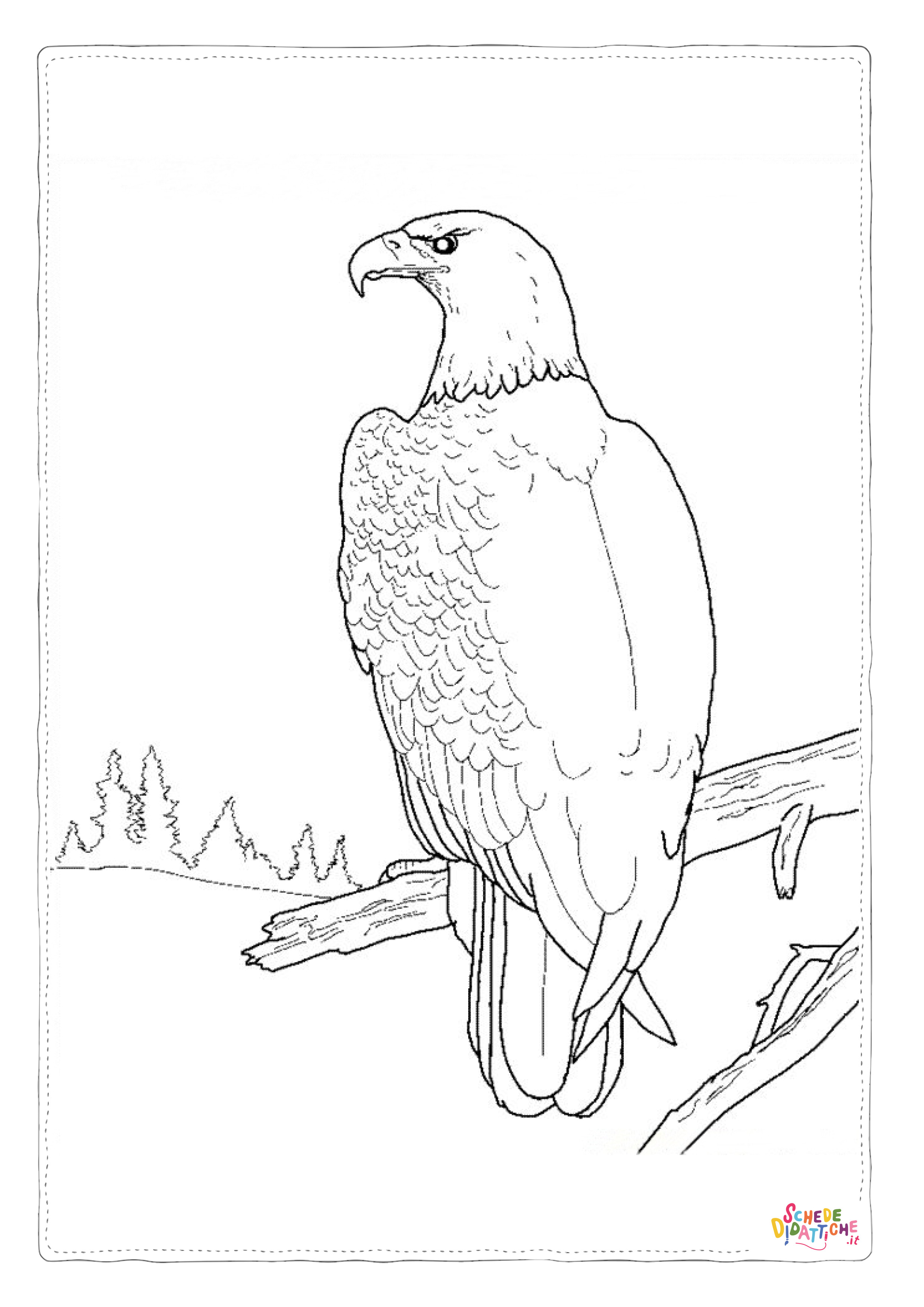 Disegno "Disegno di aquila da stampare e colorare 15" Disegno di aquila da stampare e colorare 15