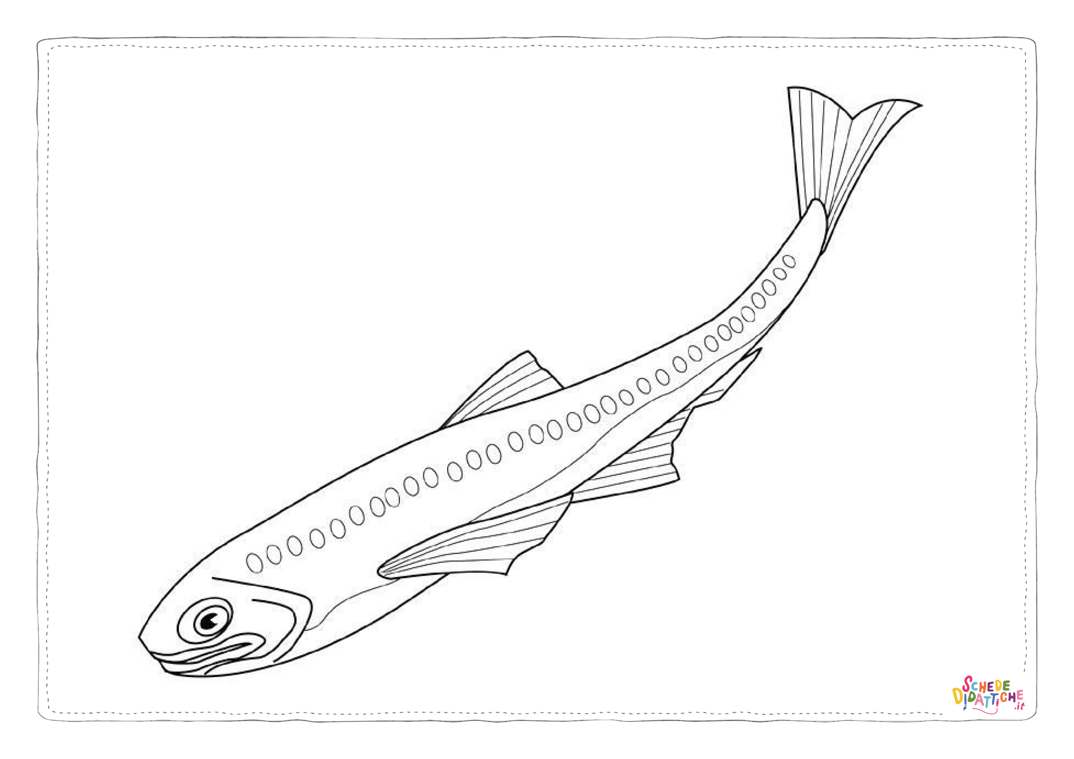 Disegno "Disegno di pesce da stampare e colorare 317" Disegno di pesce da stampare e colorare 317