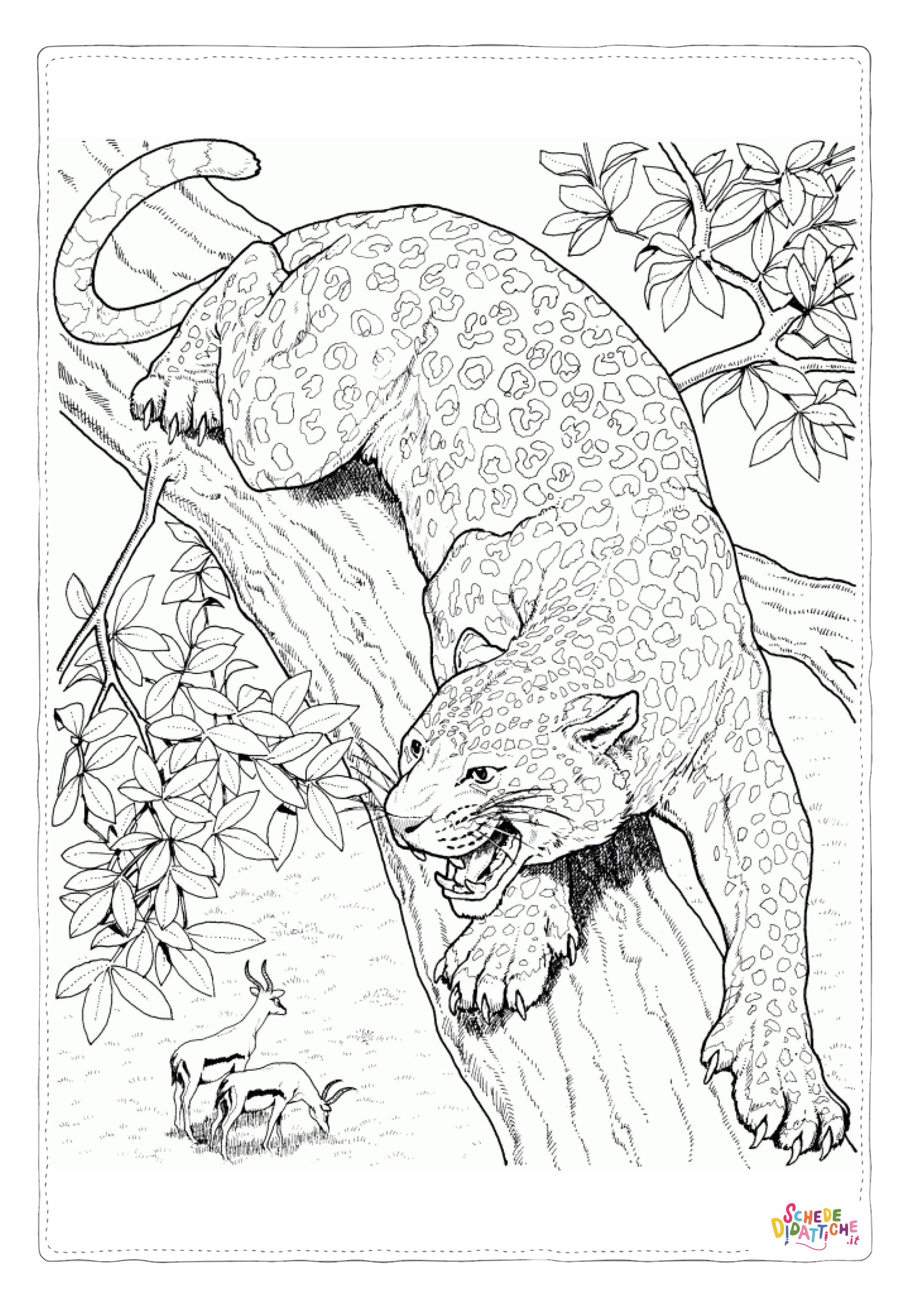 Disegno di leopardo da stampare e colorare 26