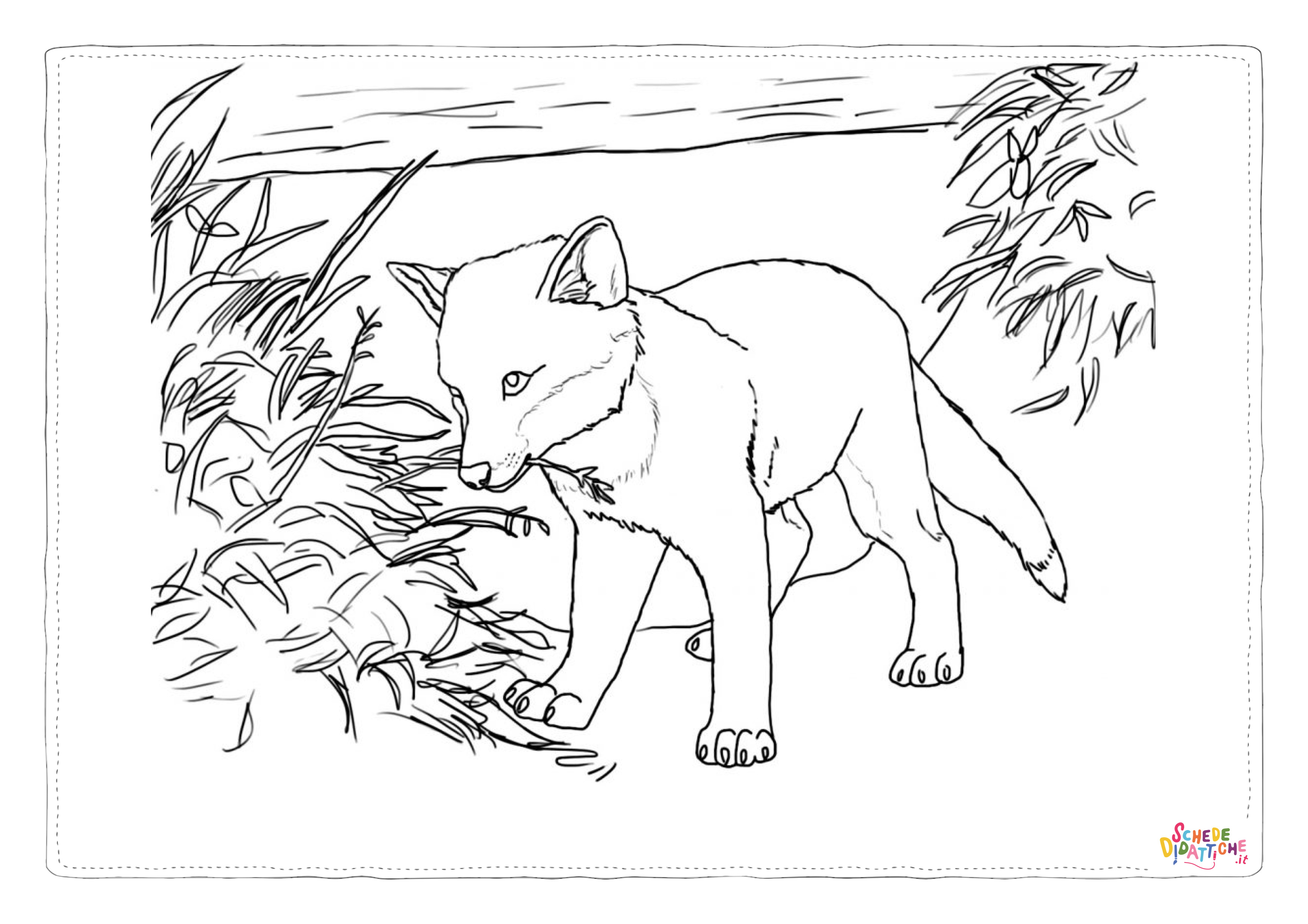 Disegno "Disegno di volpe da stampare e colorare 25" Disegno di volpe da stampare e colorare 25