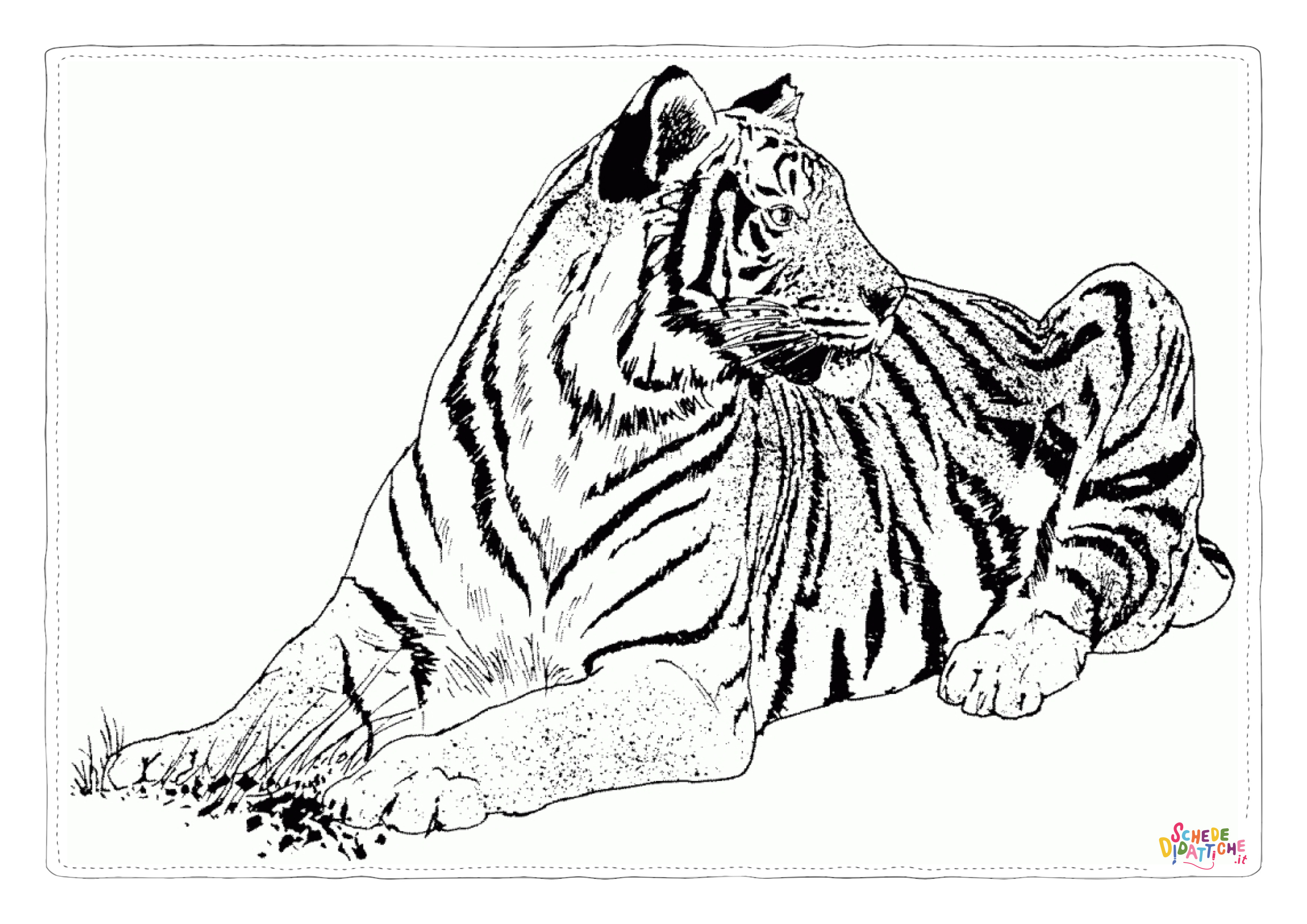Disegno "Disegno di tigre da stampare e colorare 27" Disegno di tigre da stampare e colorare 27