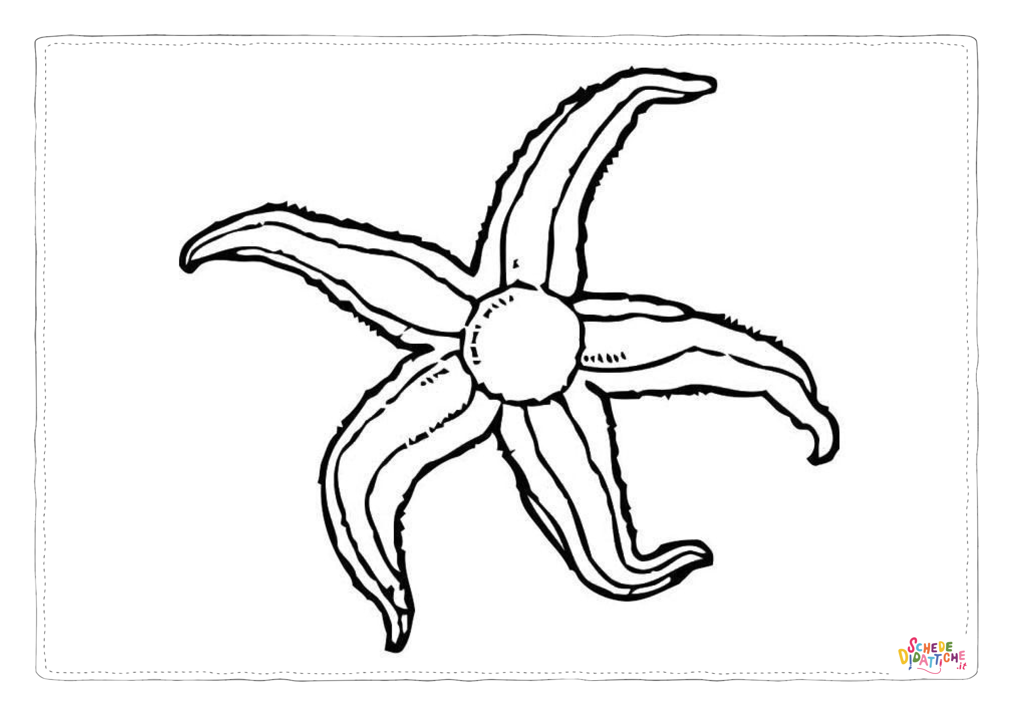 Disegno di stella marina da stampare e colorare 12
