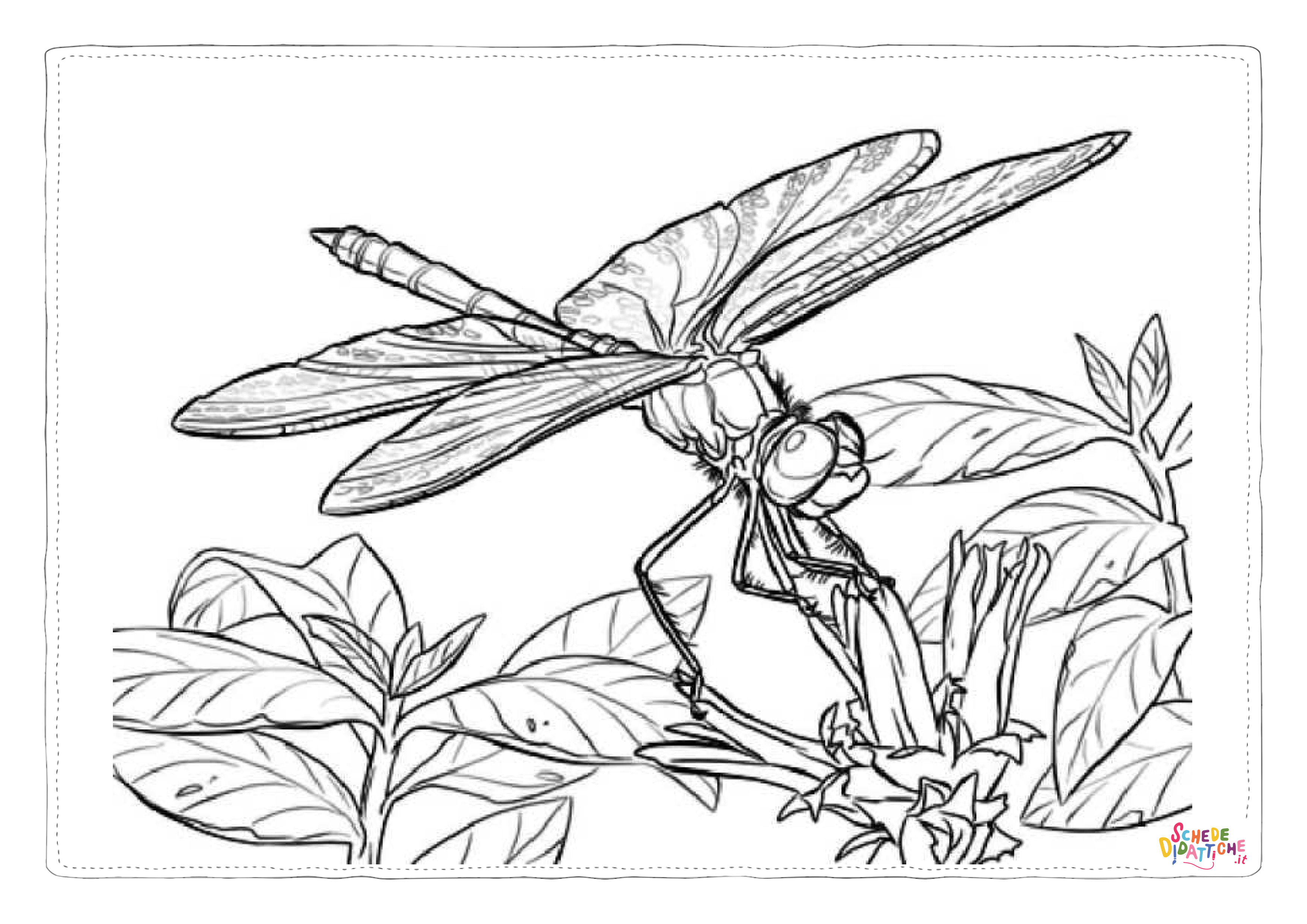 Disegno di libellula da stampare e colorare 22