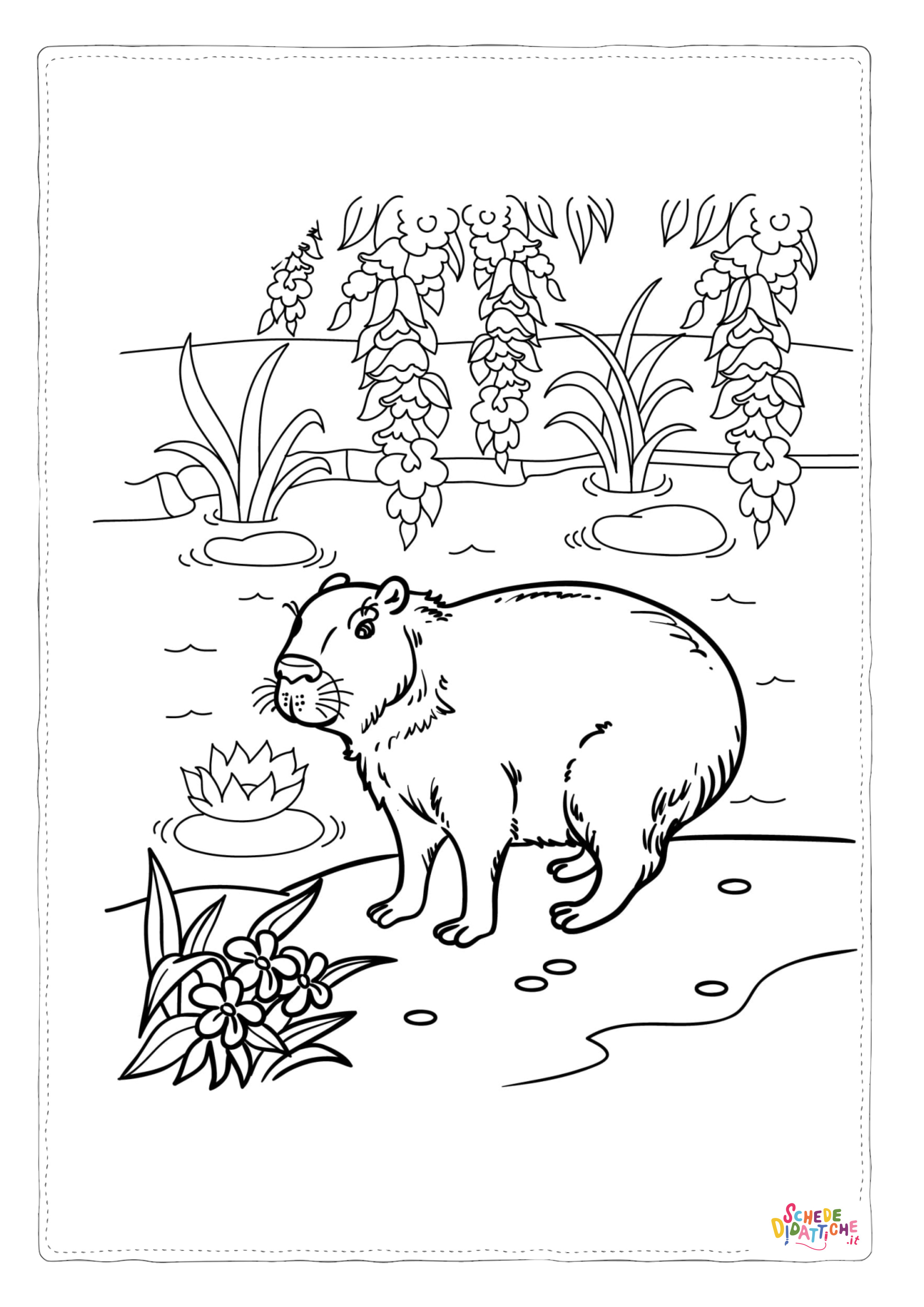 Disegno "Disegno di lontra da stampare e colorare 3" Disegno di lontra da stampare e colorare 3