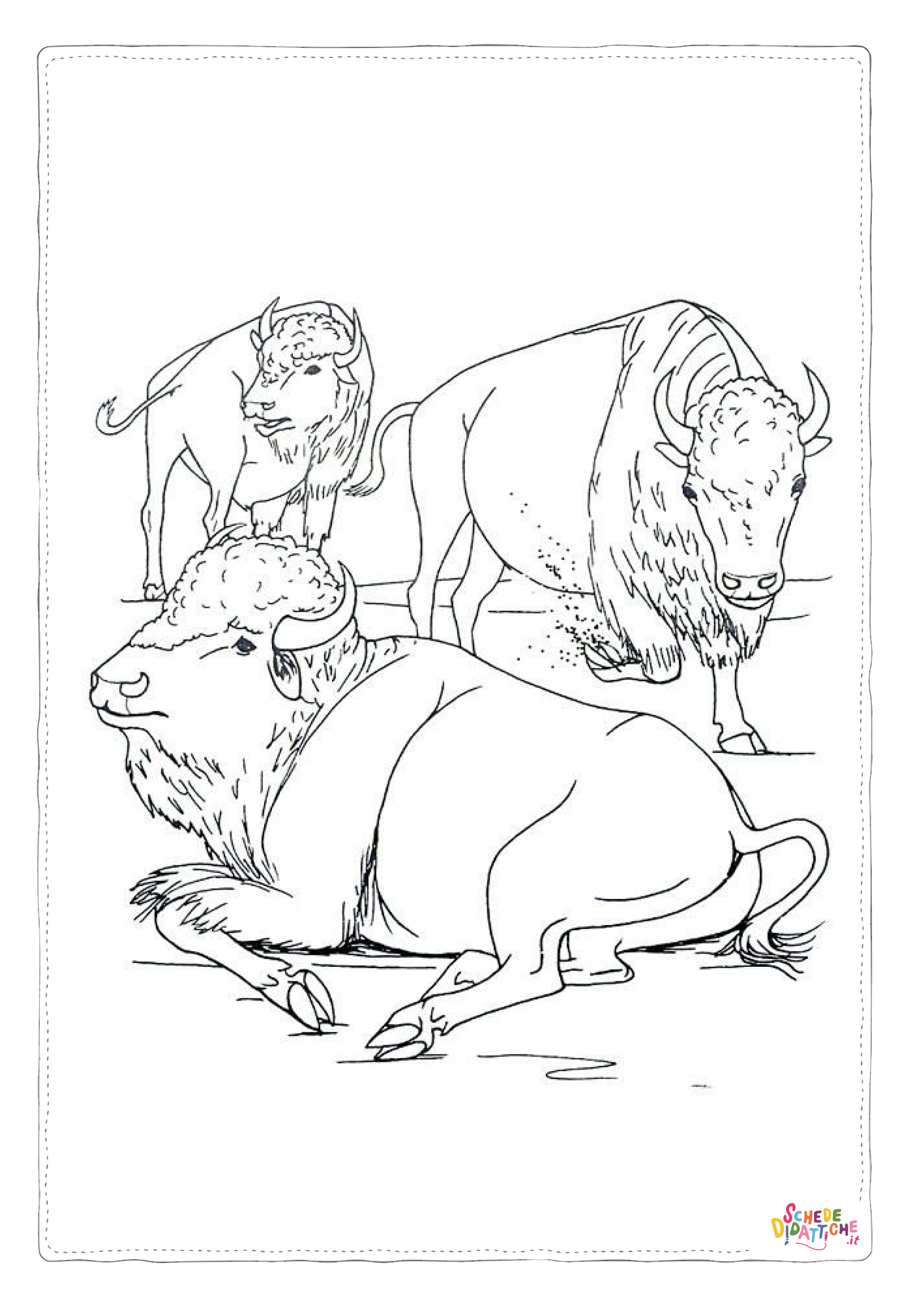 Disegno "Disegno di bisonte da stampare e colorare 8" Disegno di bisonte da stampare e colorare 8