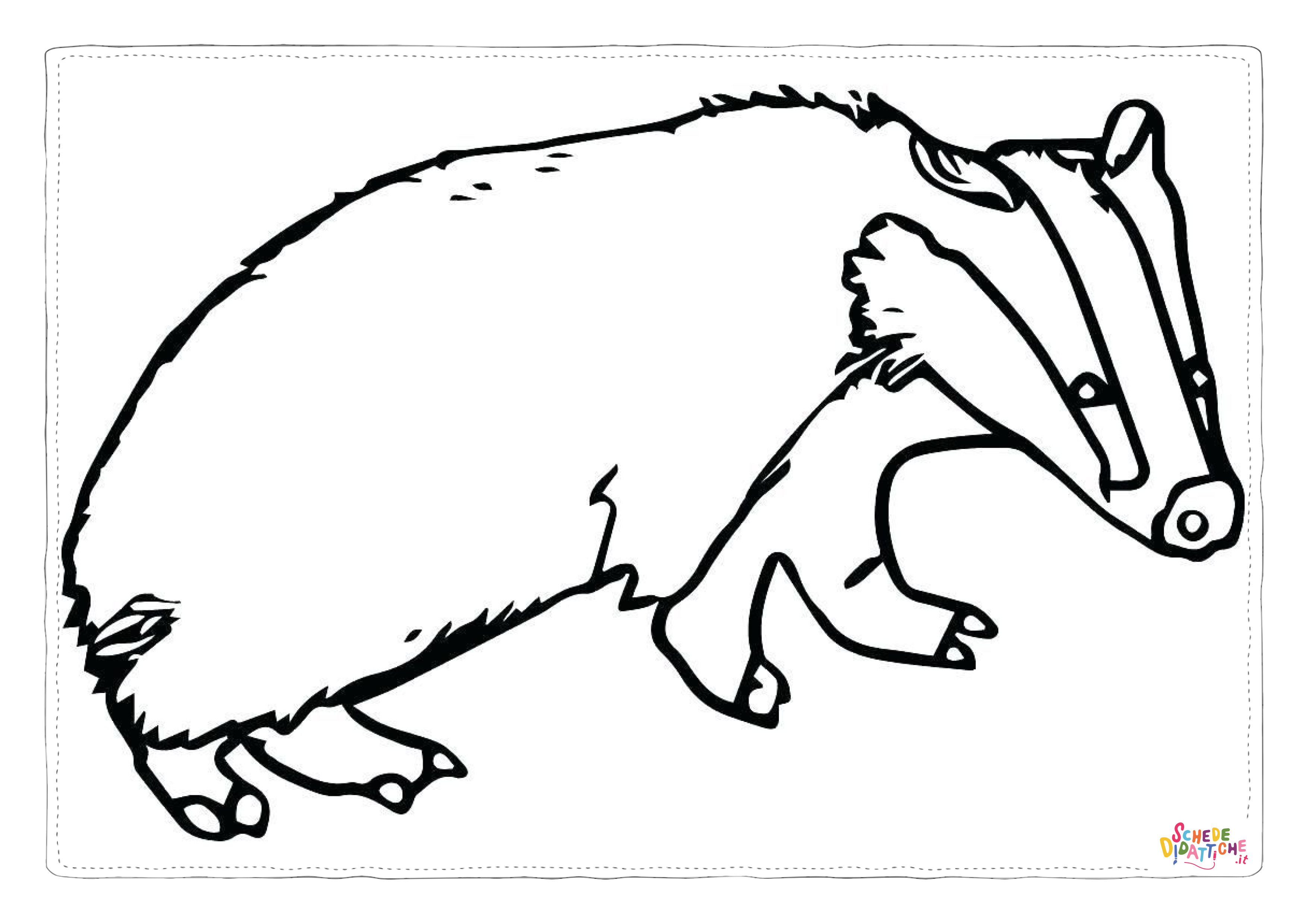 Disegno di opossum da stampare e colorare 6