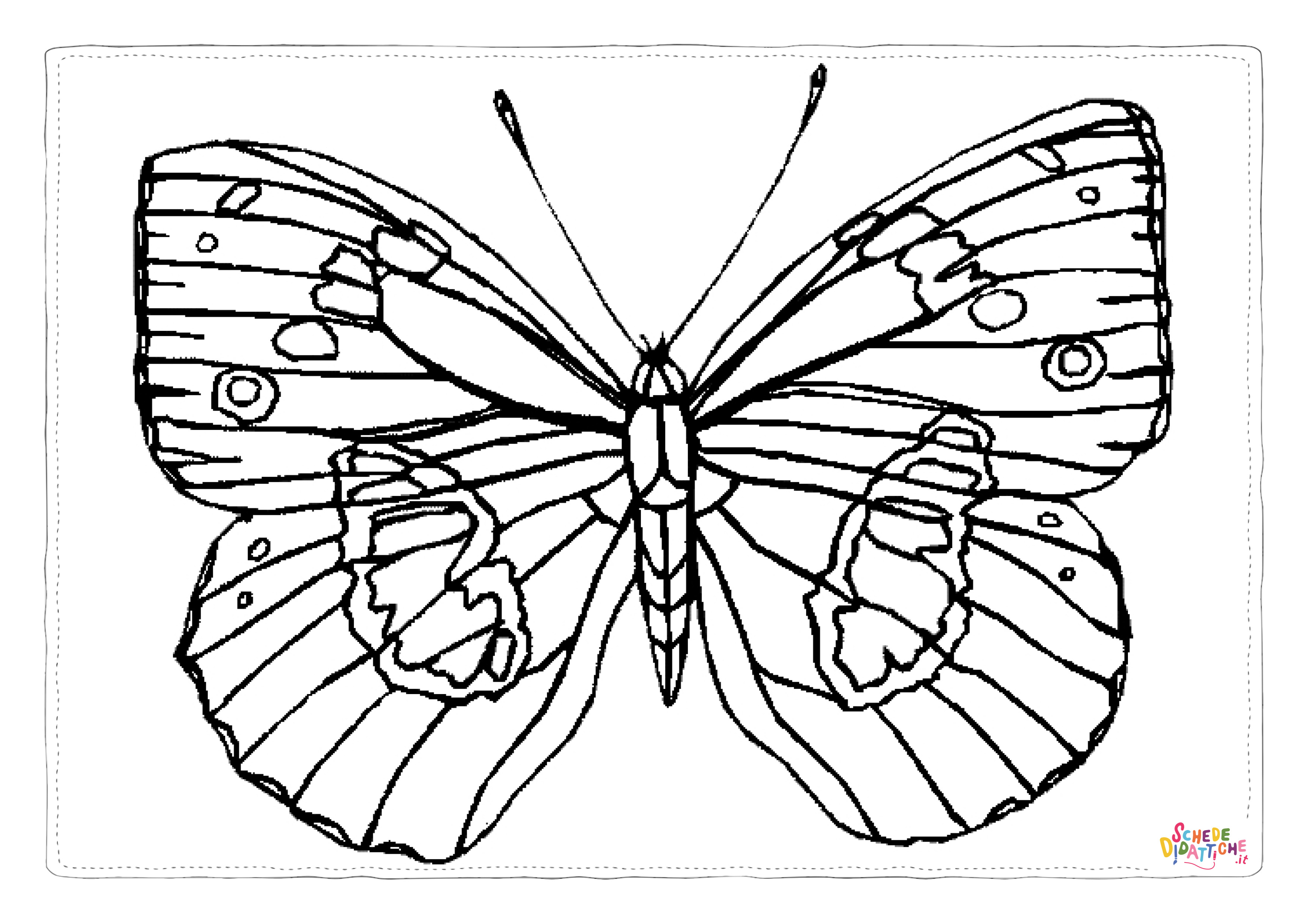 Disegno di farfalla da stampare e colorare 212