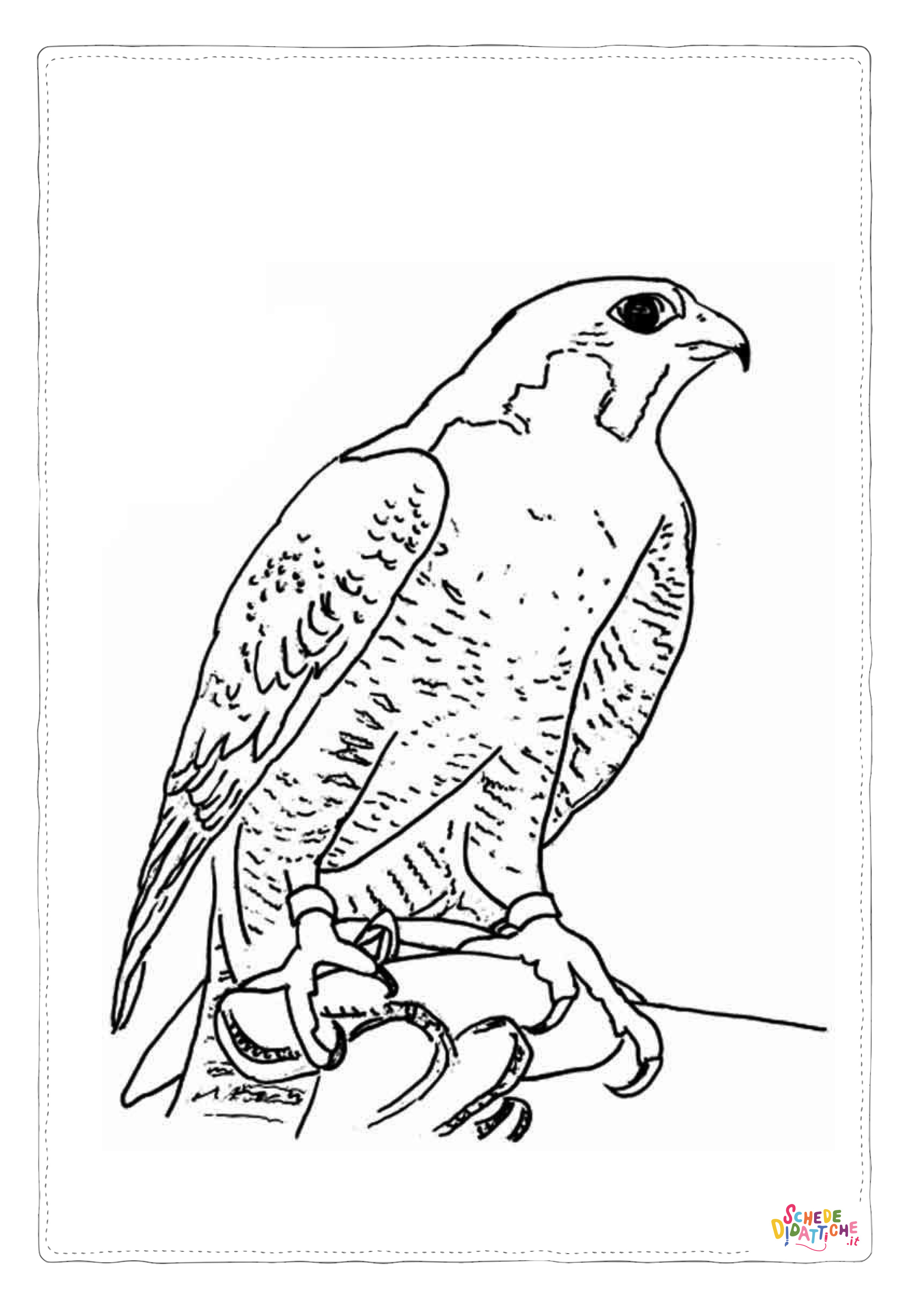 Disegno "Disegno di aquila da stampare e colorare 23" Disegno di aquila da stampare e colorare 23