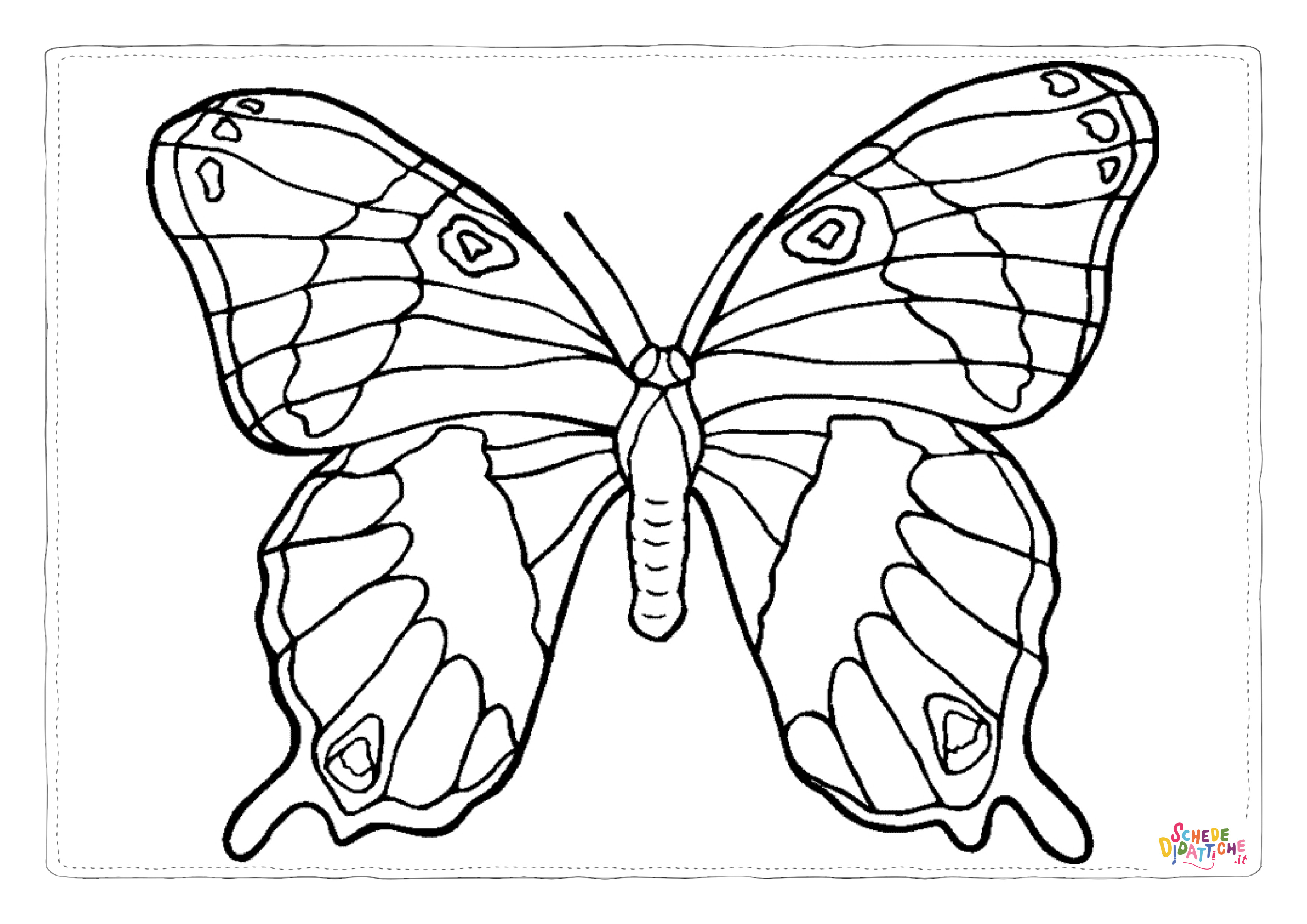 Disegno di farfalla da stampare e colorare 148