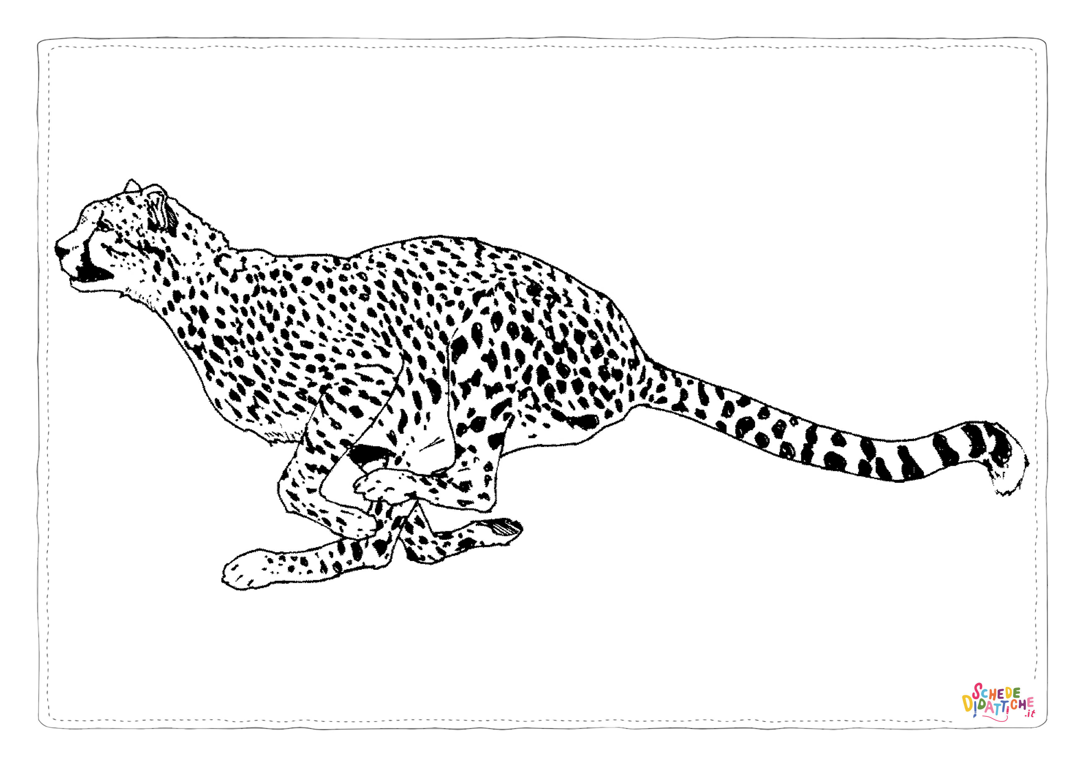 Disegno di leopardo da stampare e colorare 13