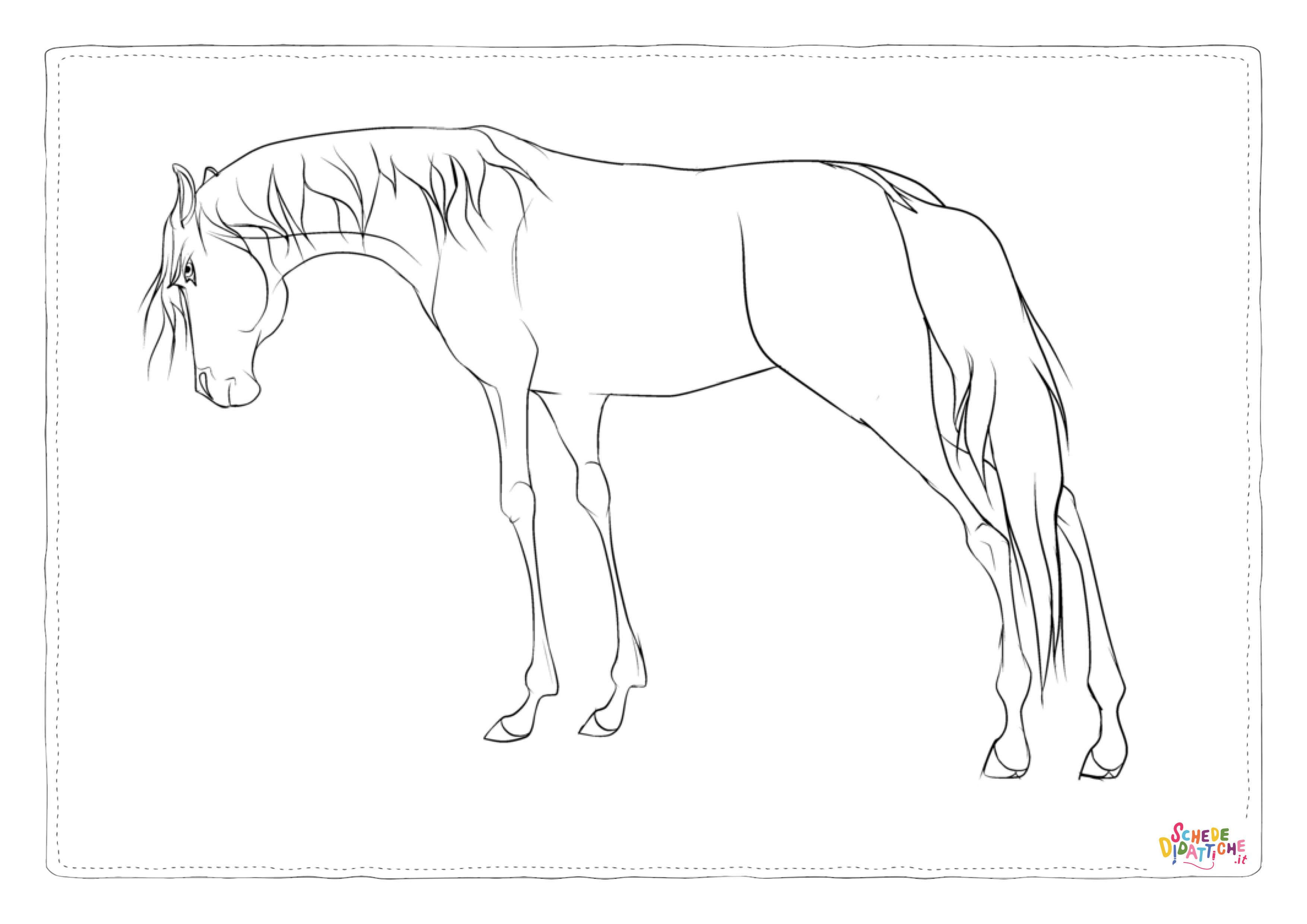 Disegno "Disegno di cavallo da stampare e colorare 42" Disegno di cavallo da stampare e colorare 42