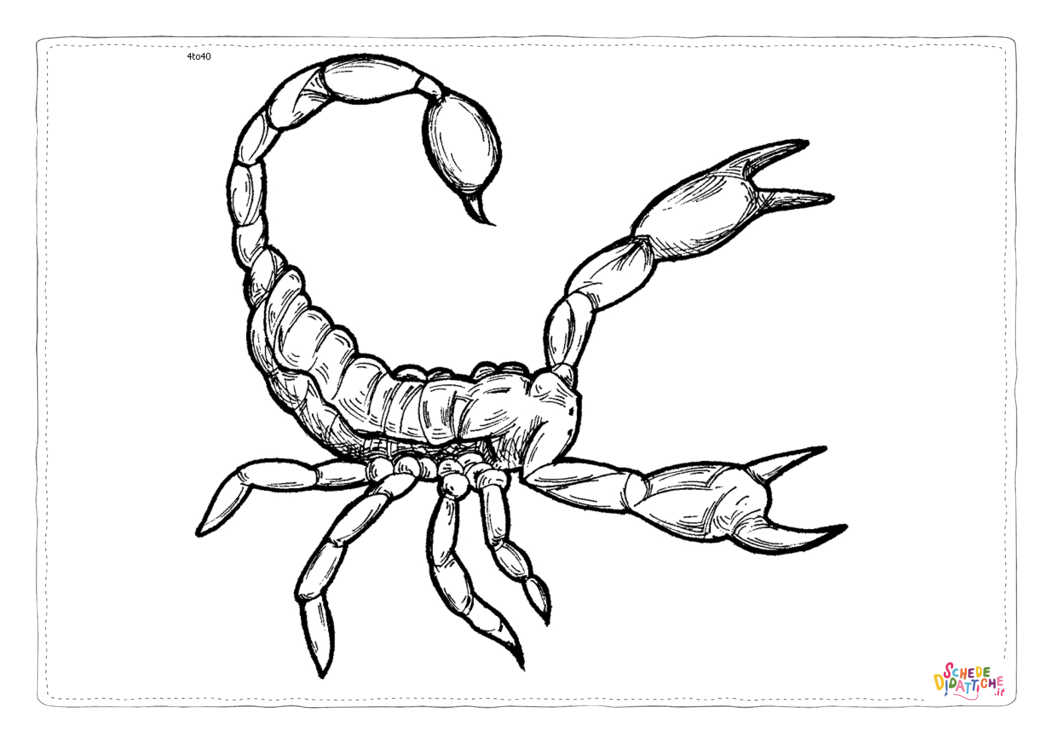 Disegno "Disegno di scorpione da stampare e colorare" Disegno di scorpione da stampare e colorare