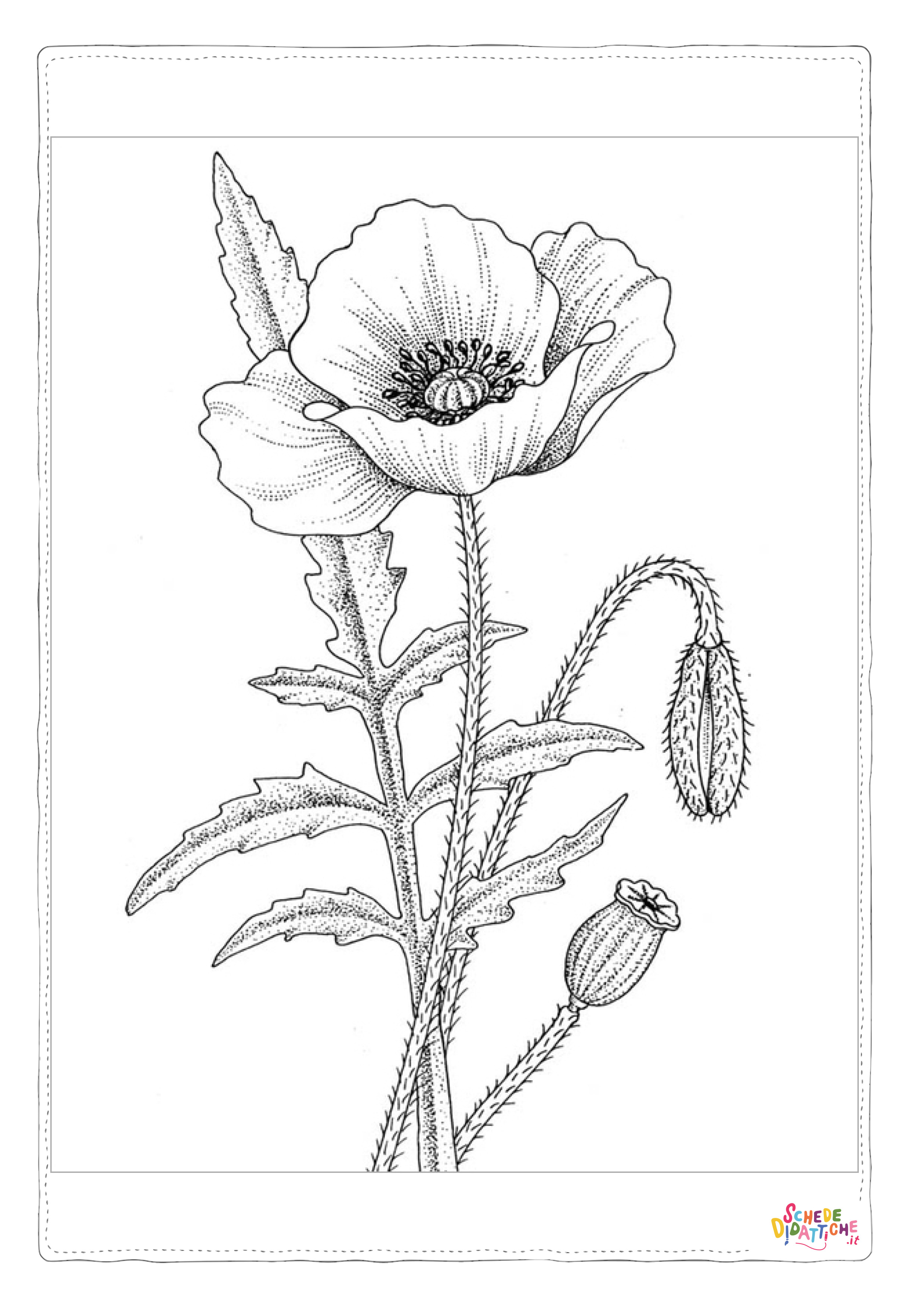 Disegno "Disegno di fiore da stampare e colorare 199" Disegno di fiore da stampare e colorare 199