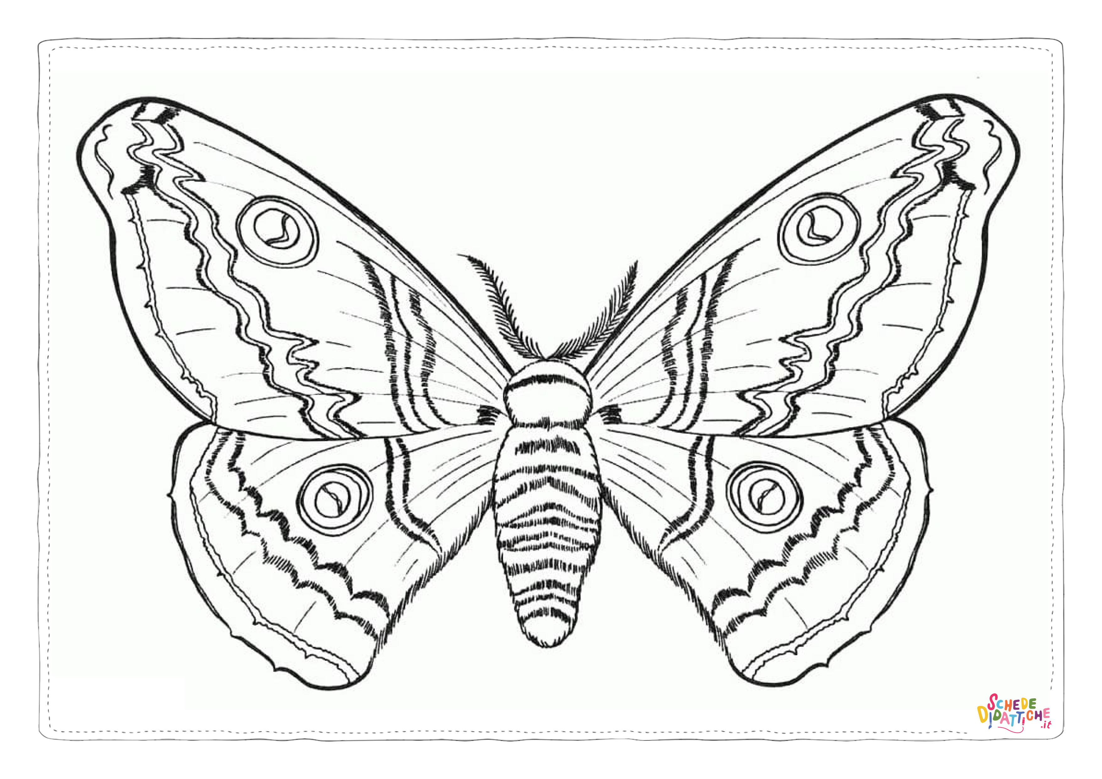 Disegno "Disegno di farfalla da stampare e colorare 259" Disegno di farfalla da stampare e colorare 259