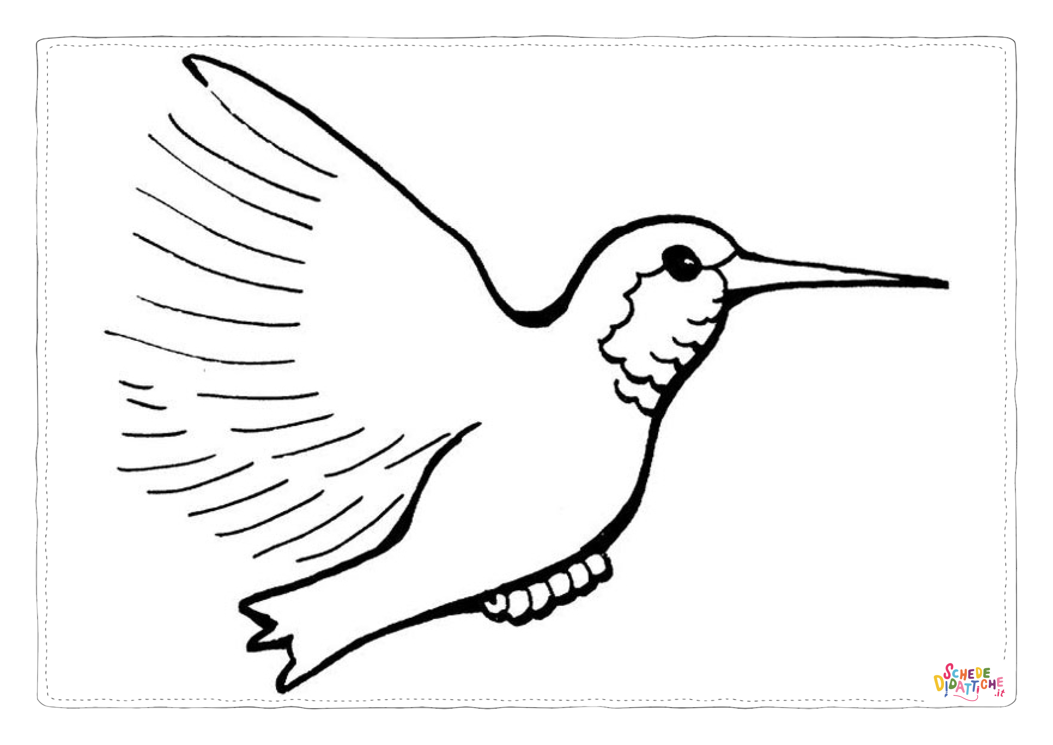 Disegno di colibr da stampare e colorare 2